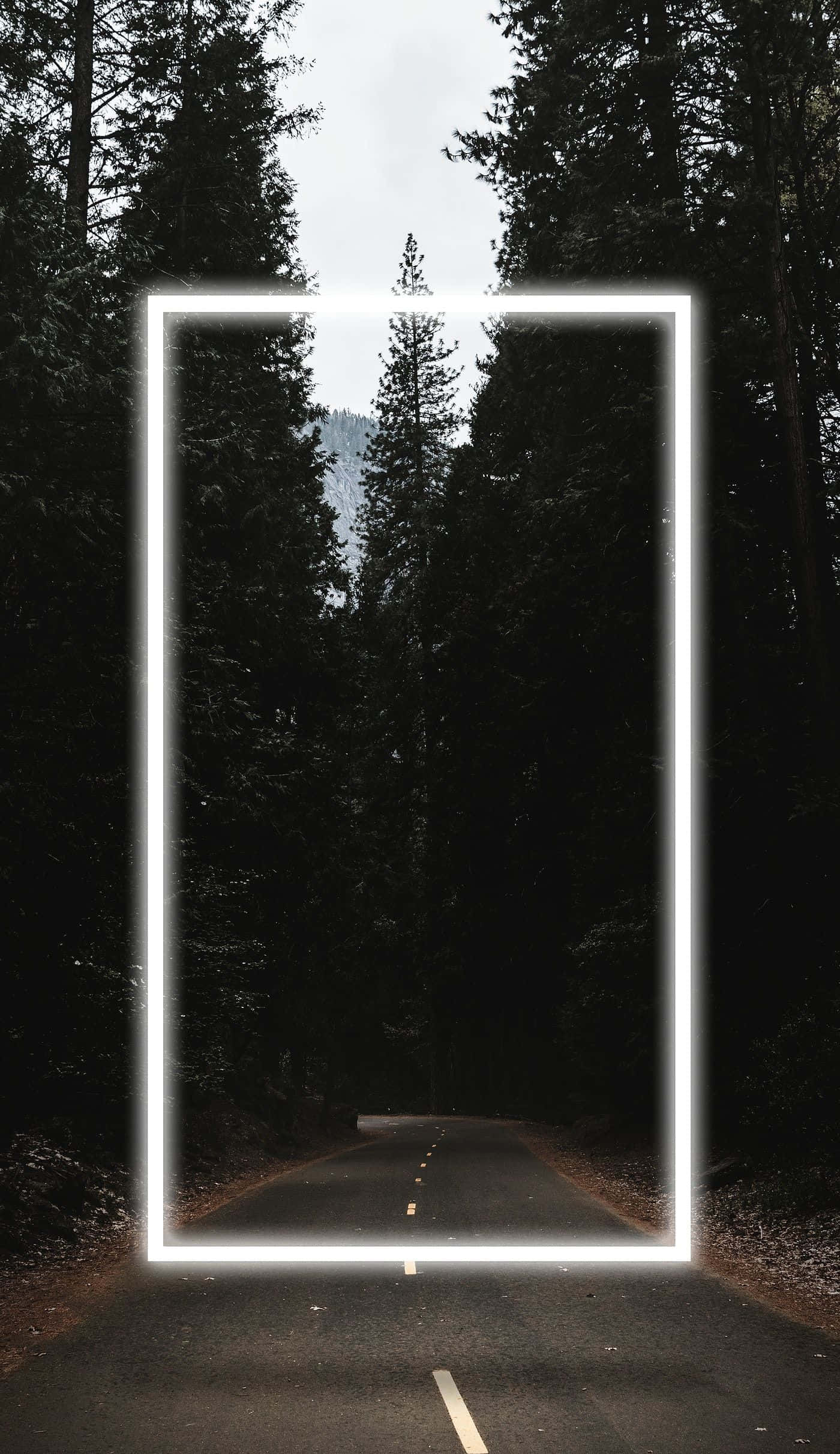White Neon, glowing white rectangular portal, winding forest road, Full HD Phone Wallpaper
