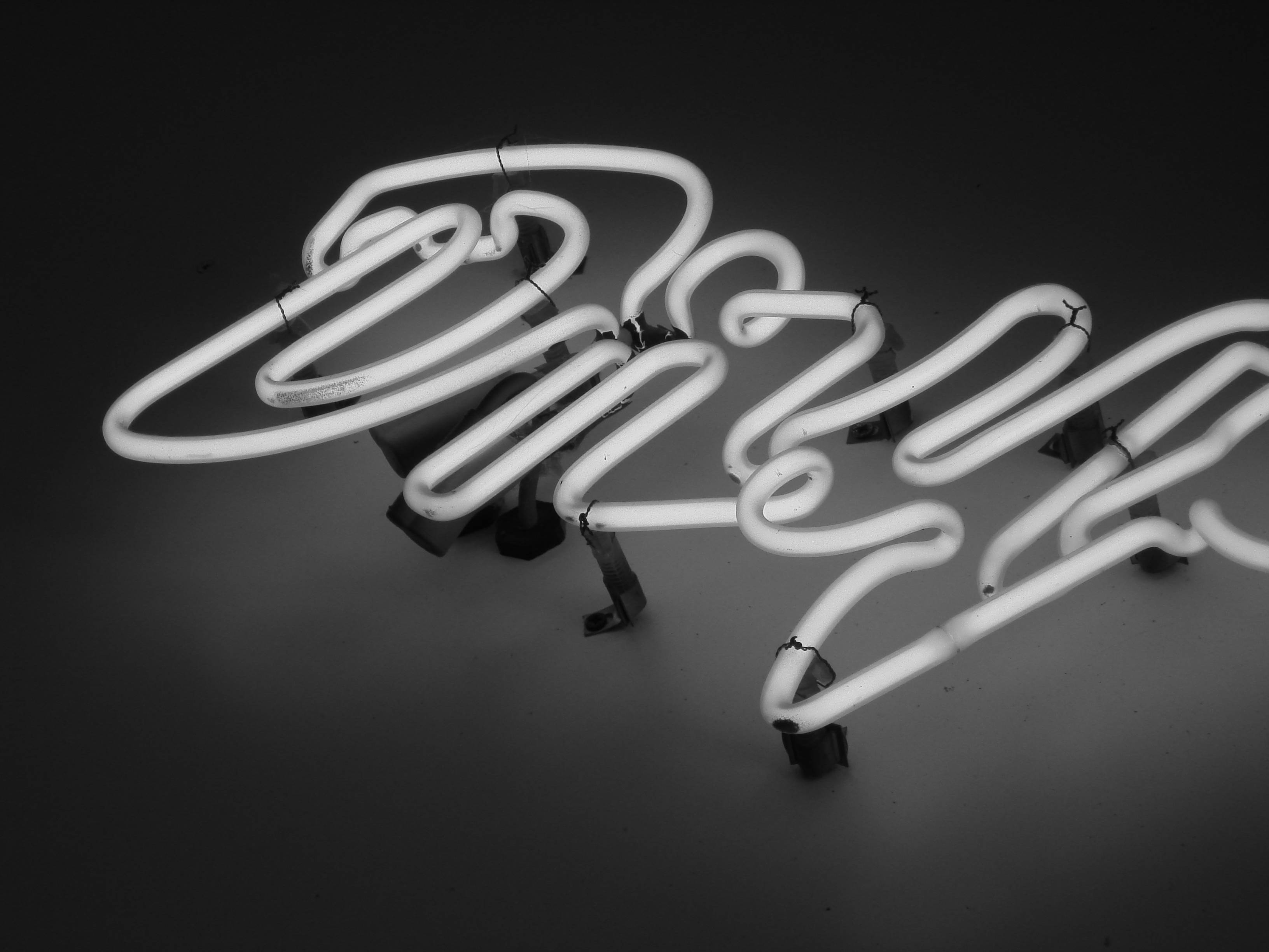 White Neon Aesthetic Dry Sign, monochrome neon sign, stylized dog, 2K Desktop Wallpaper
