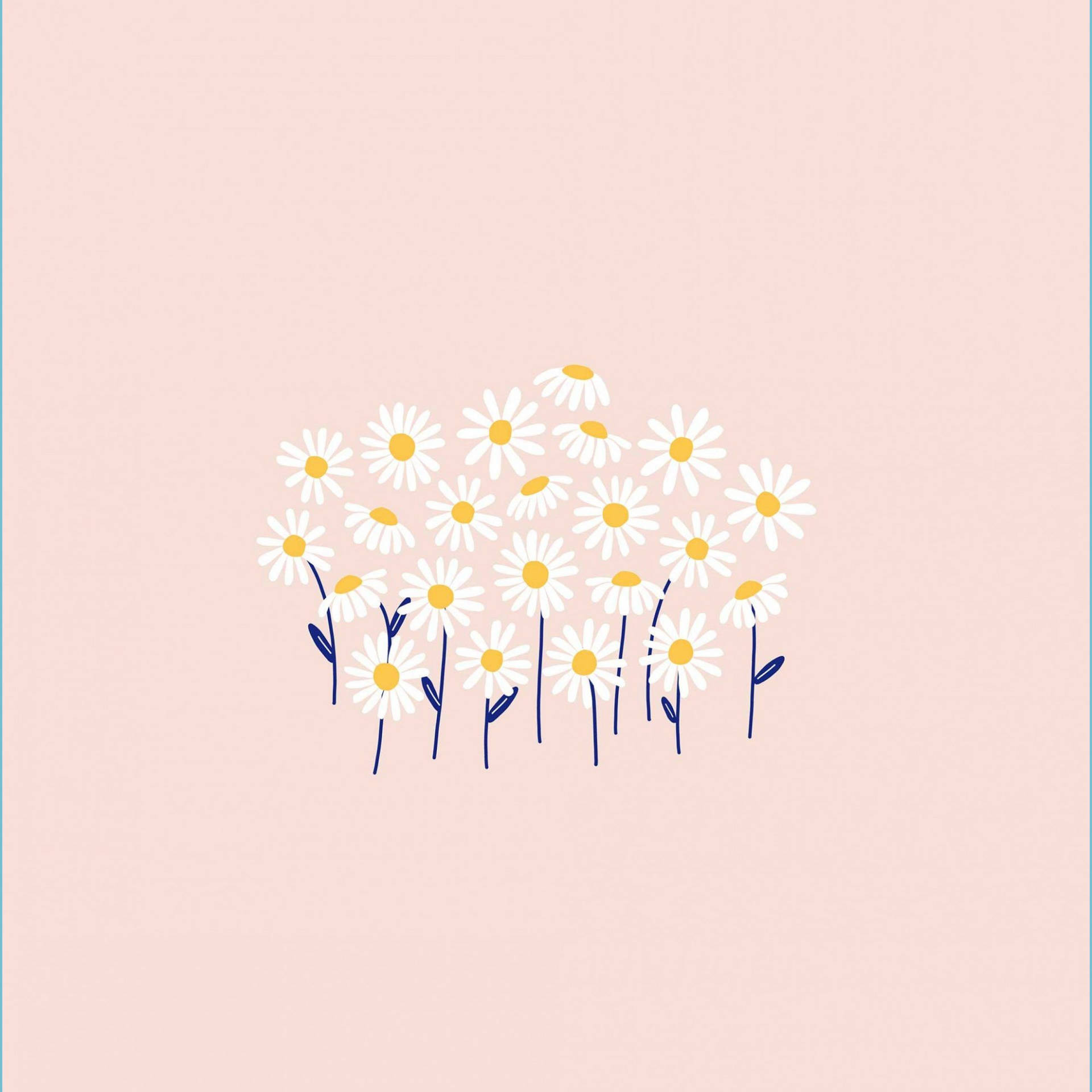 White Pastel, daisies, white petals, Full HD Desktop Wallpaper