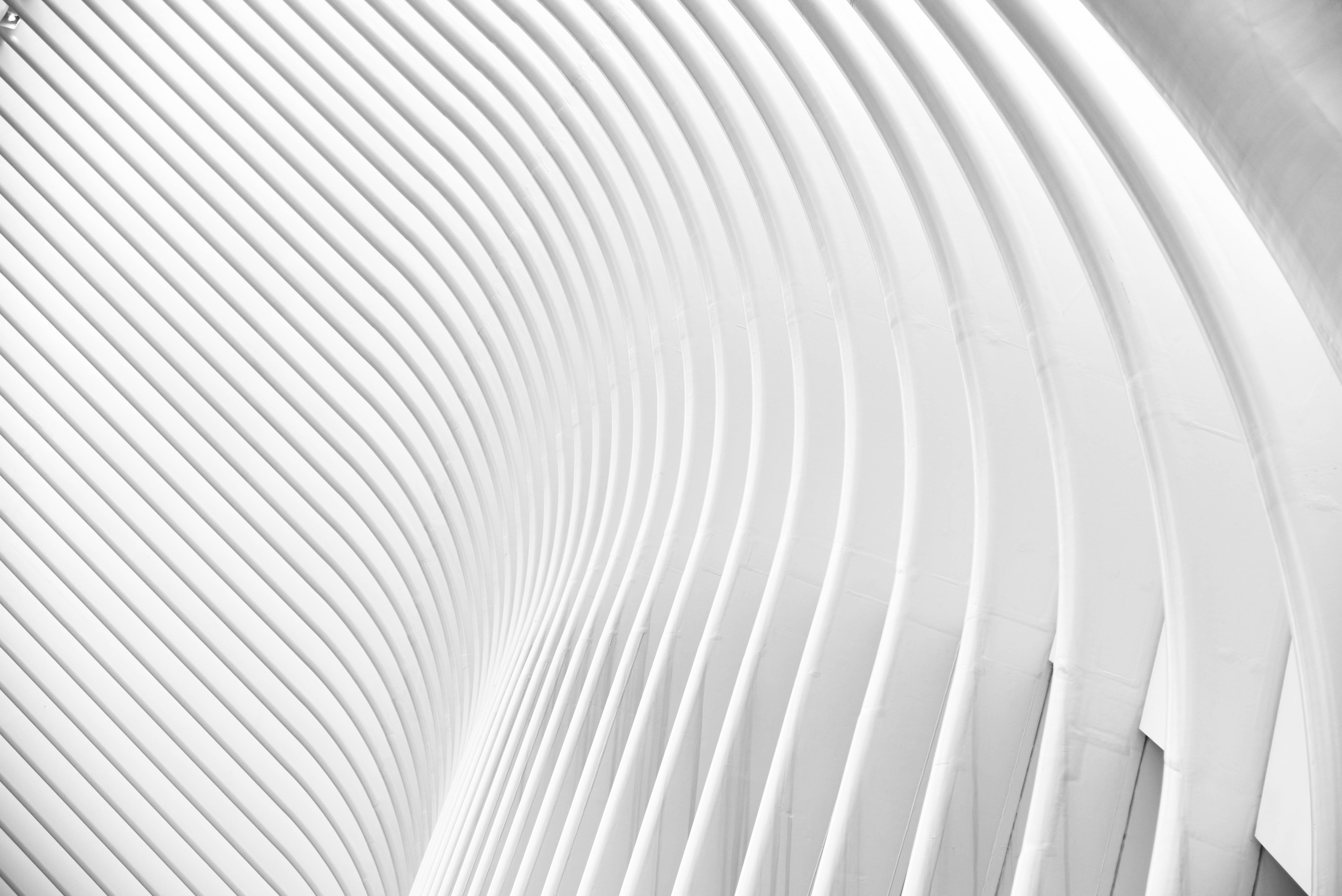 Pure White Architecture, flowing white architectural curves, soft shadows, 5K Desktop Wallpaper