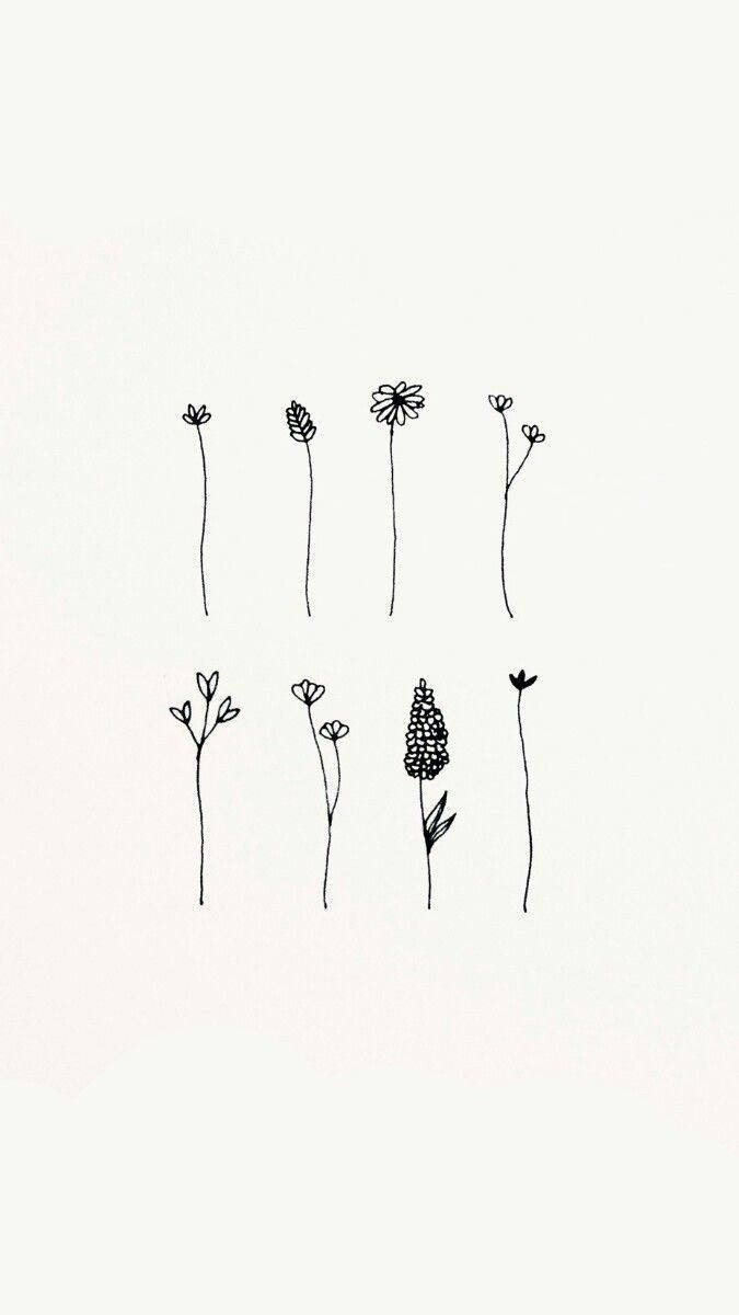 minimalist black line drawings, eight delicate wildflowers, soft off-white background, SD Phone Wallpaper