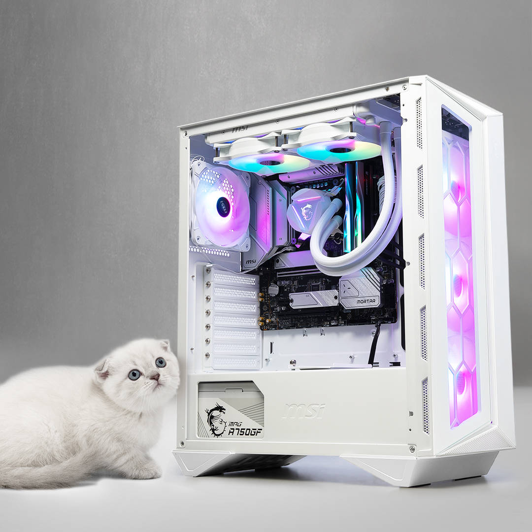 white gaming PC, Scottish Fold kitten, glowing RGB fans, SD Desktop Wallpaper