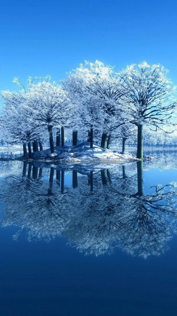 White Phone