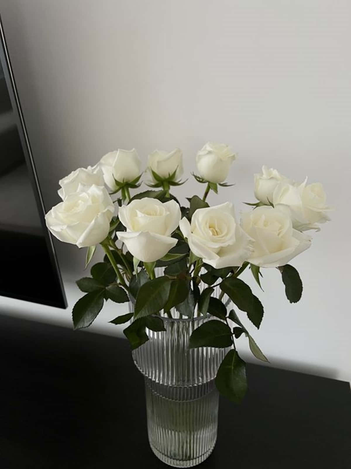 White Rose, ribbed glass vase, pristine white roses, HD Phone Wallpaper