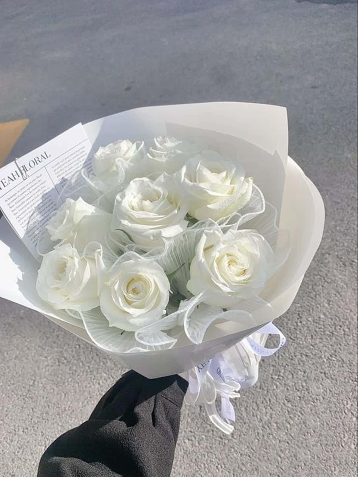White Rose Aesthetic, white roses, white paper, HD Phone Wallpaper