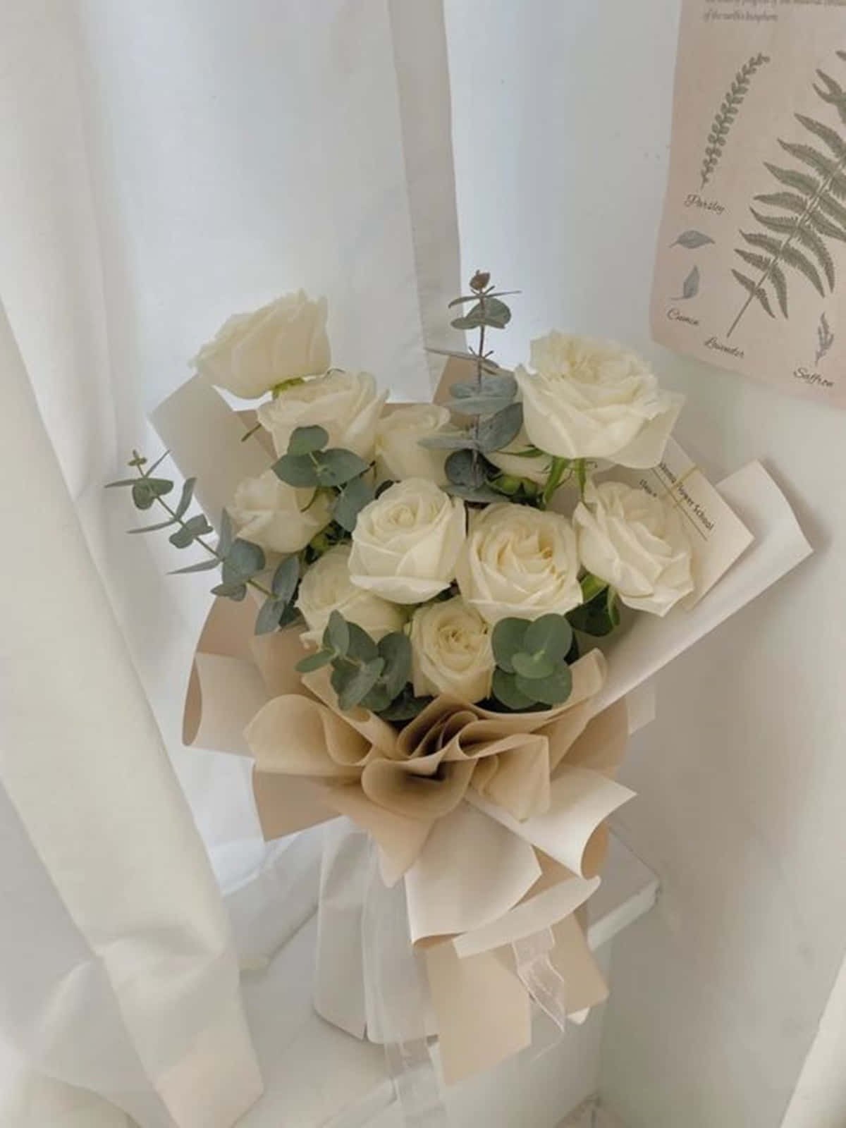 white rose aesthetic, white roses, eucalyptus, HD Phone Wallpaper