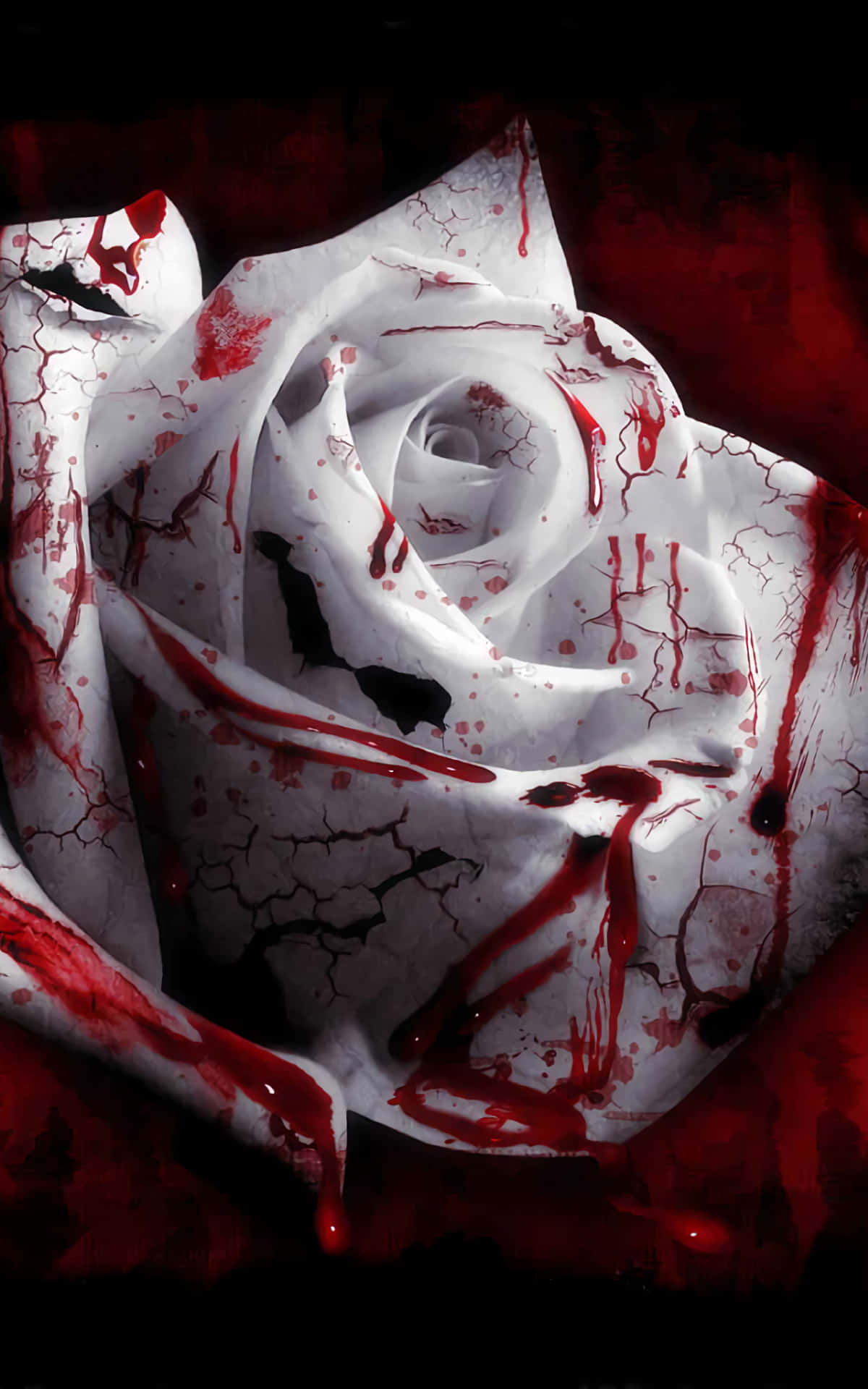 White Rose, crimson blood, dark red textured background, Full HD Phone Wallpaper