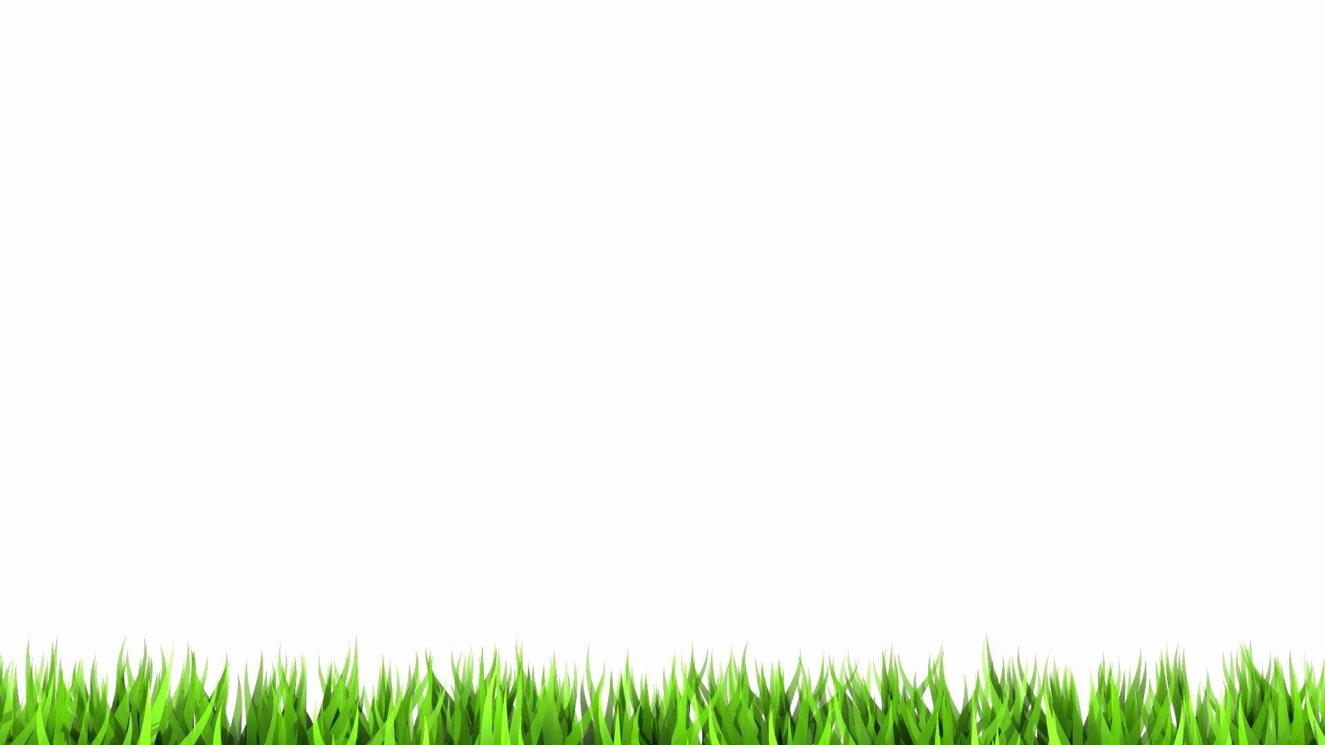pure simplicity, blank white screen, vibrant green grass blades, Full HD Desktop Wallpaper