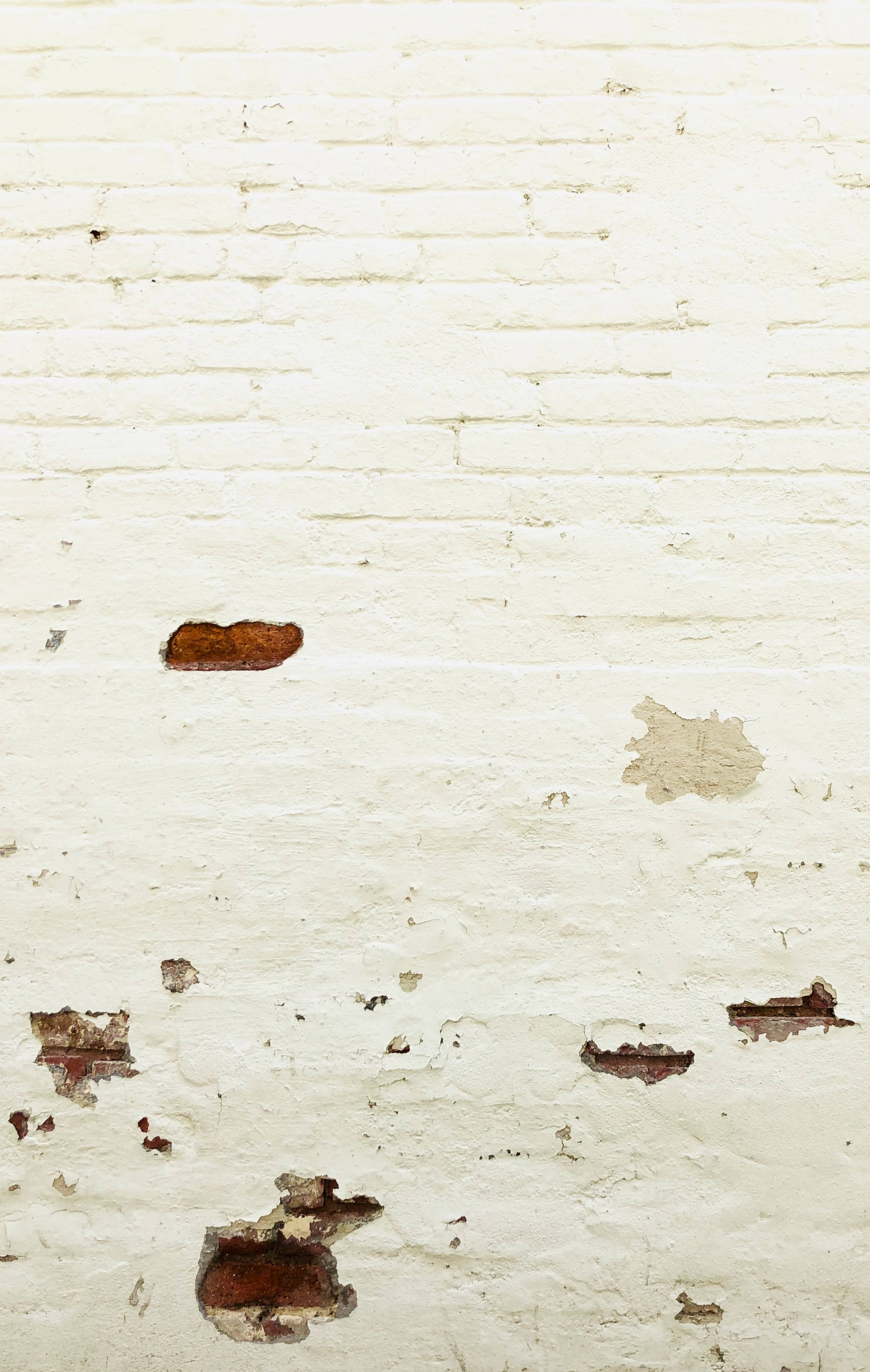white-painted brick wall, peeling paint, rusty brick, 2K Phone Wallpaper