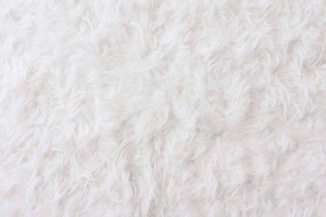 fur rug, white texture, fluffy, SD Desktop Wallpaper