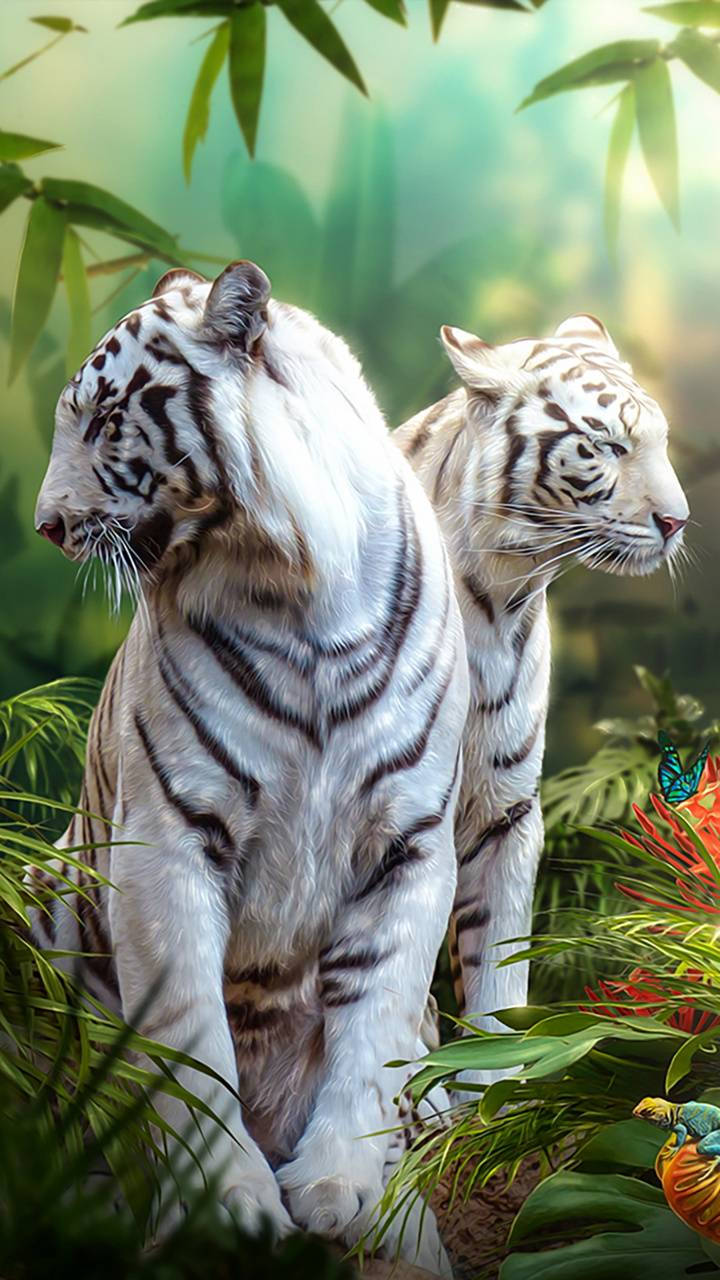 White Tiger, tropical forest, bamboo, HD Phone Wallpaper