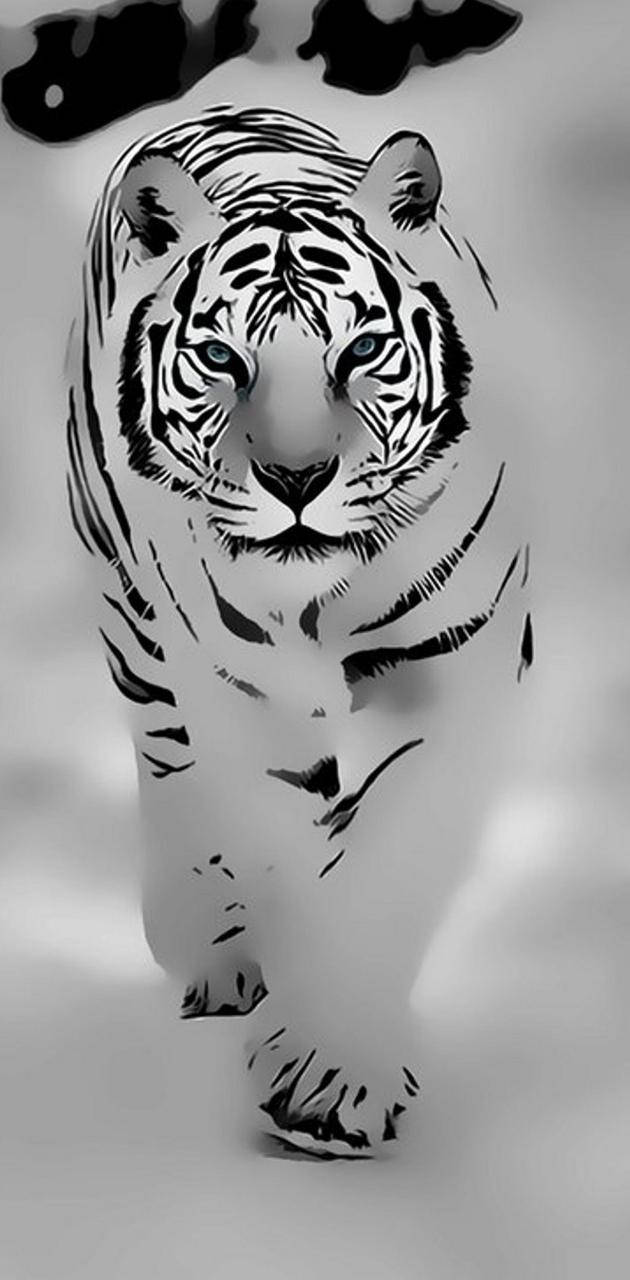 White Tiger, snowy wilderness, black and white stylized tiger, HD Phone Wallpaper