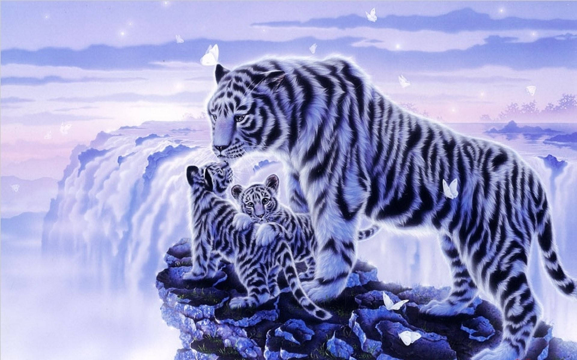 white tiger, cubs, cliff, Full HD Desktop Wallpaper
