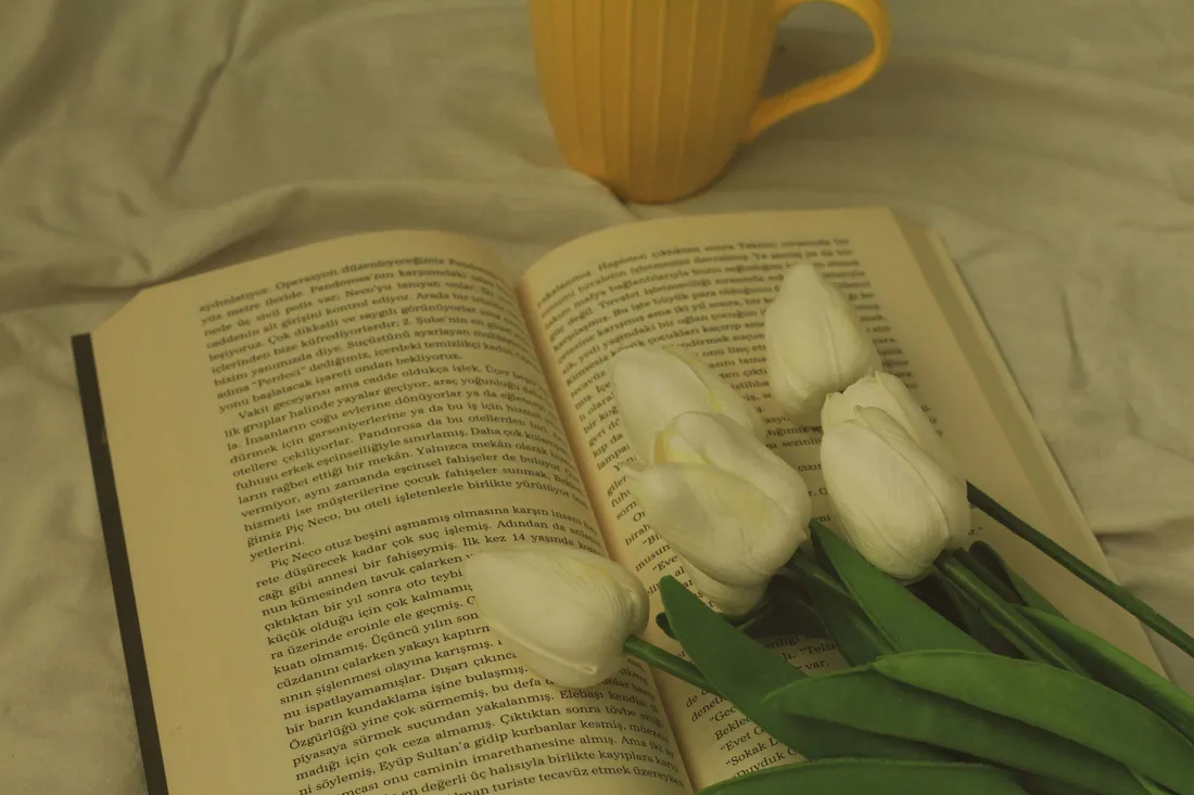 White Tulips Aesthetic
