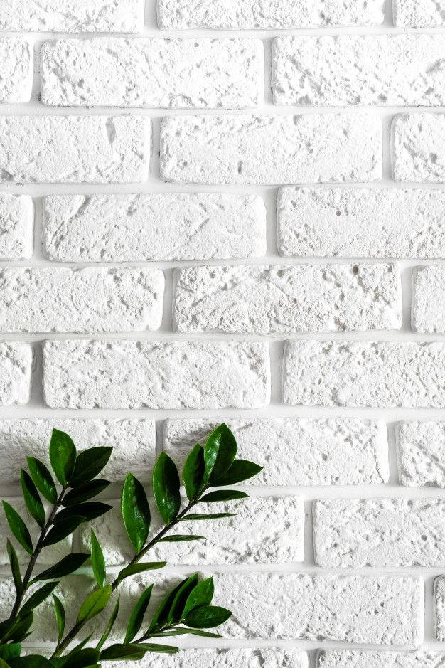 white textured brick wall, vibrant green leafy branch, snowy day, SD Phone Wallpaper