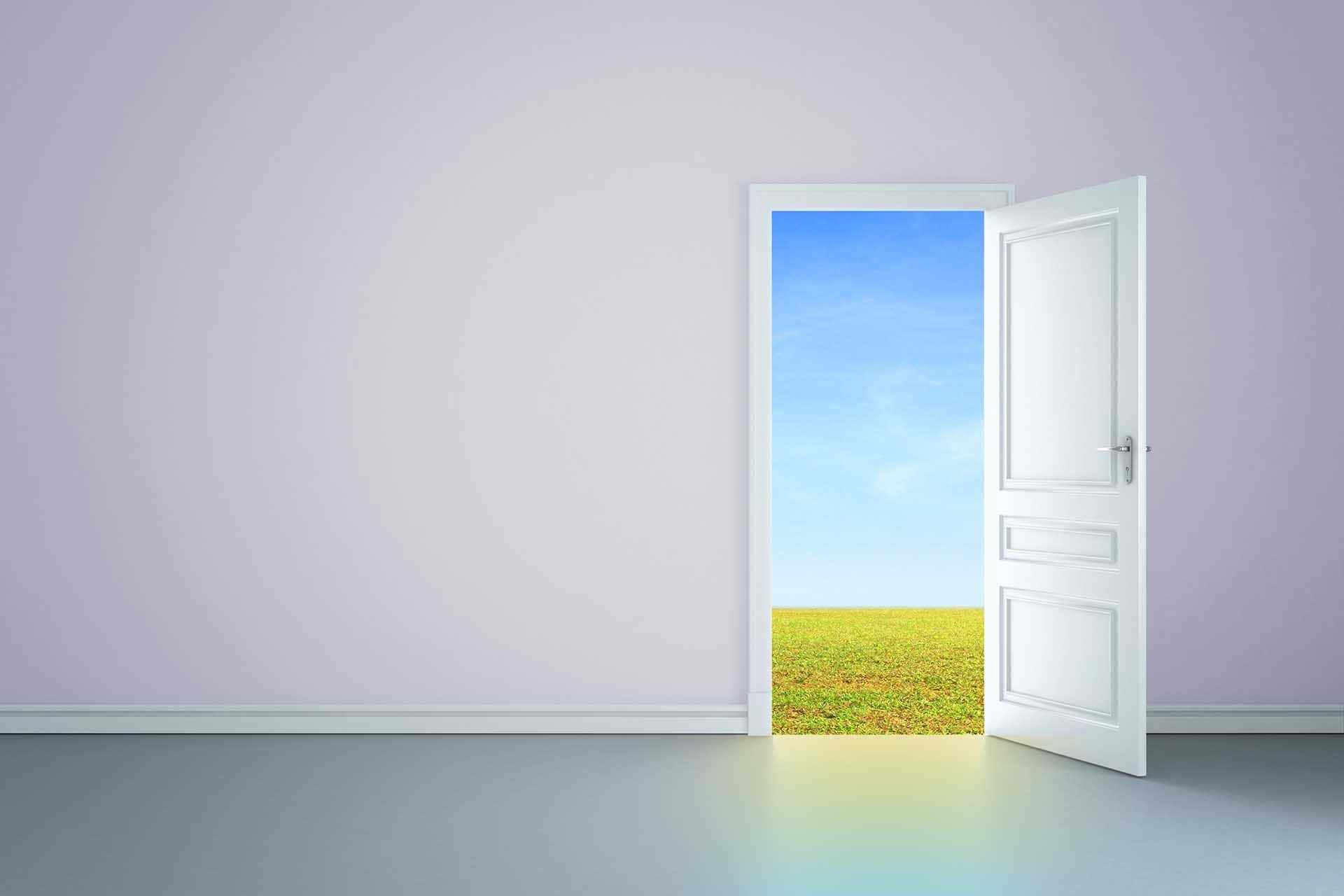 white door, minimalist room, vibrant green field, Full HD Desktop Wallpaper