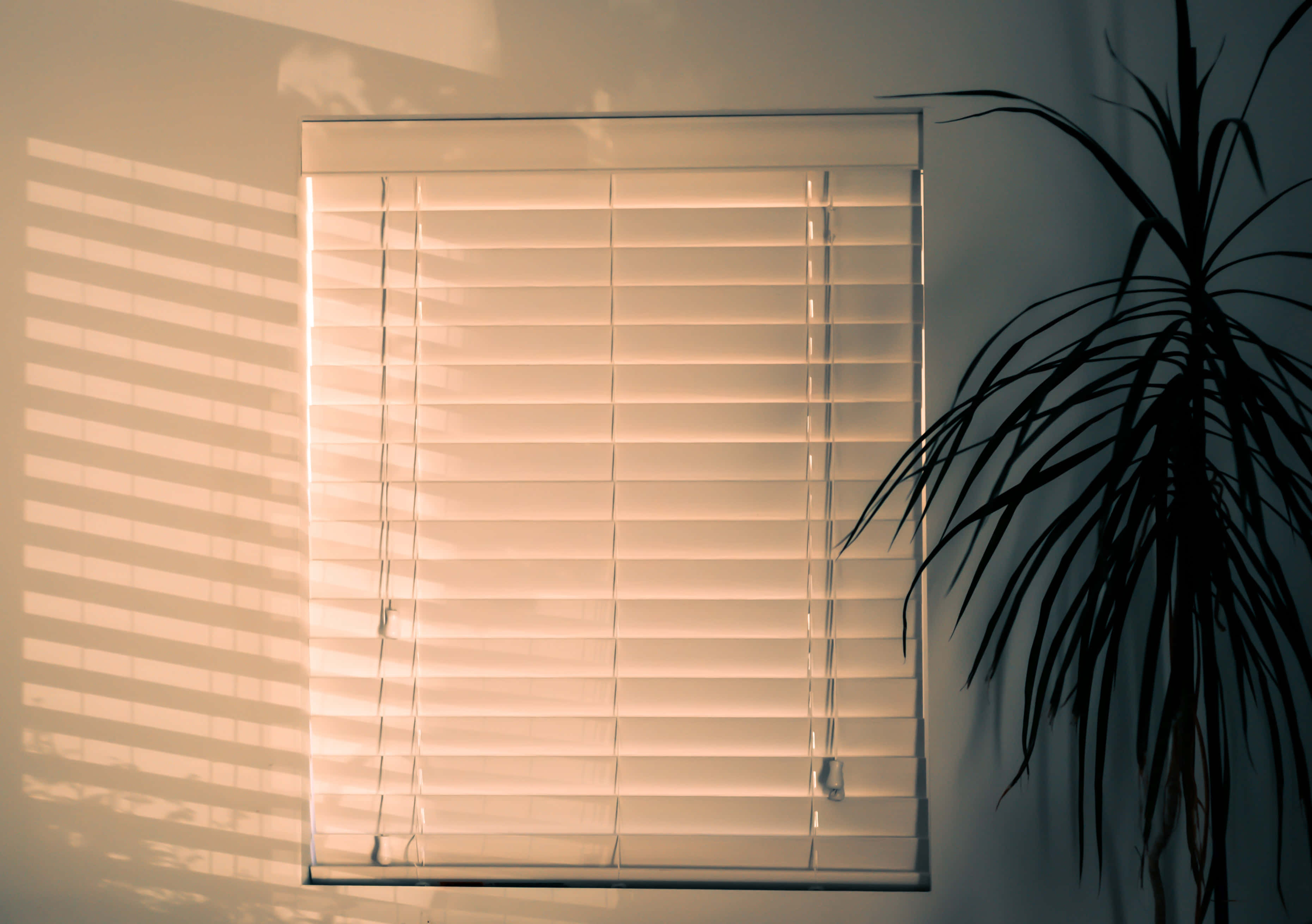 horizontal blinds, striped shadows, warm sunlight, 2K Desktop Wallpaper