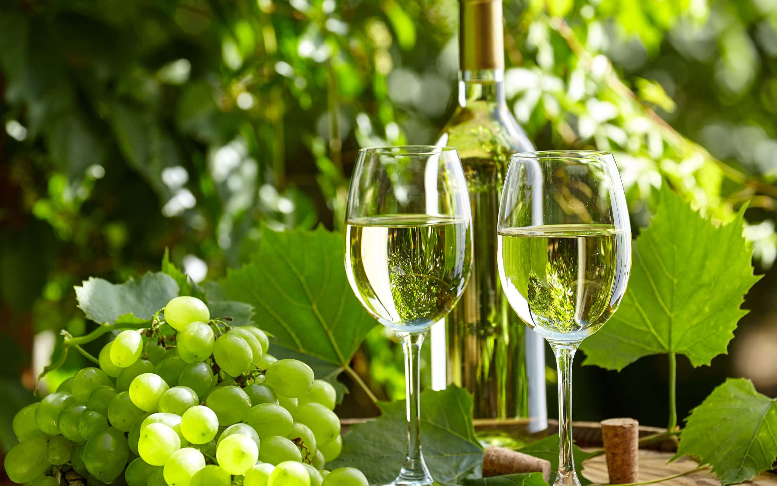 white wine, bottle of aromatic white wine, glass, 2K Desktop Wallpaper