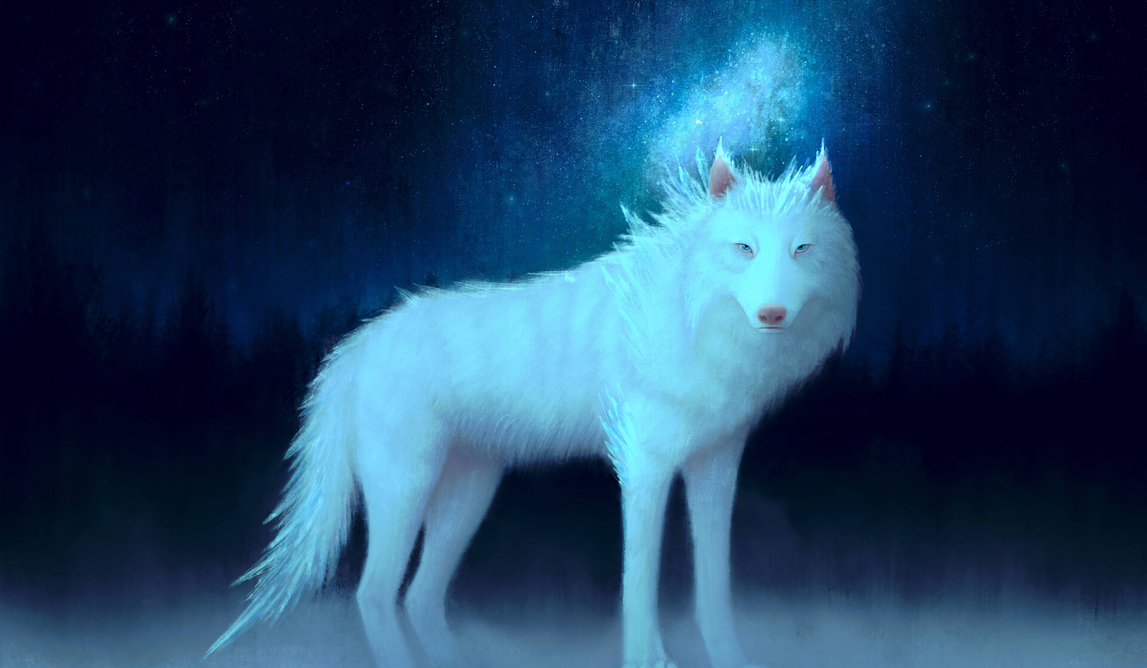 White Wolf, starry night forest, glowing cosmic aura, 4K Desktop Wallpaper