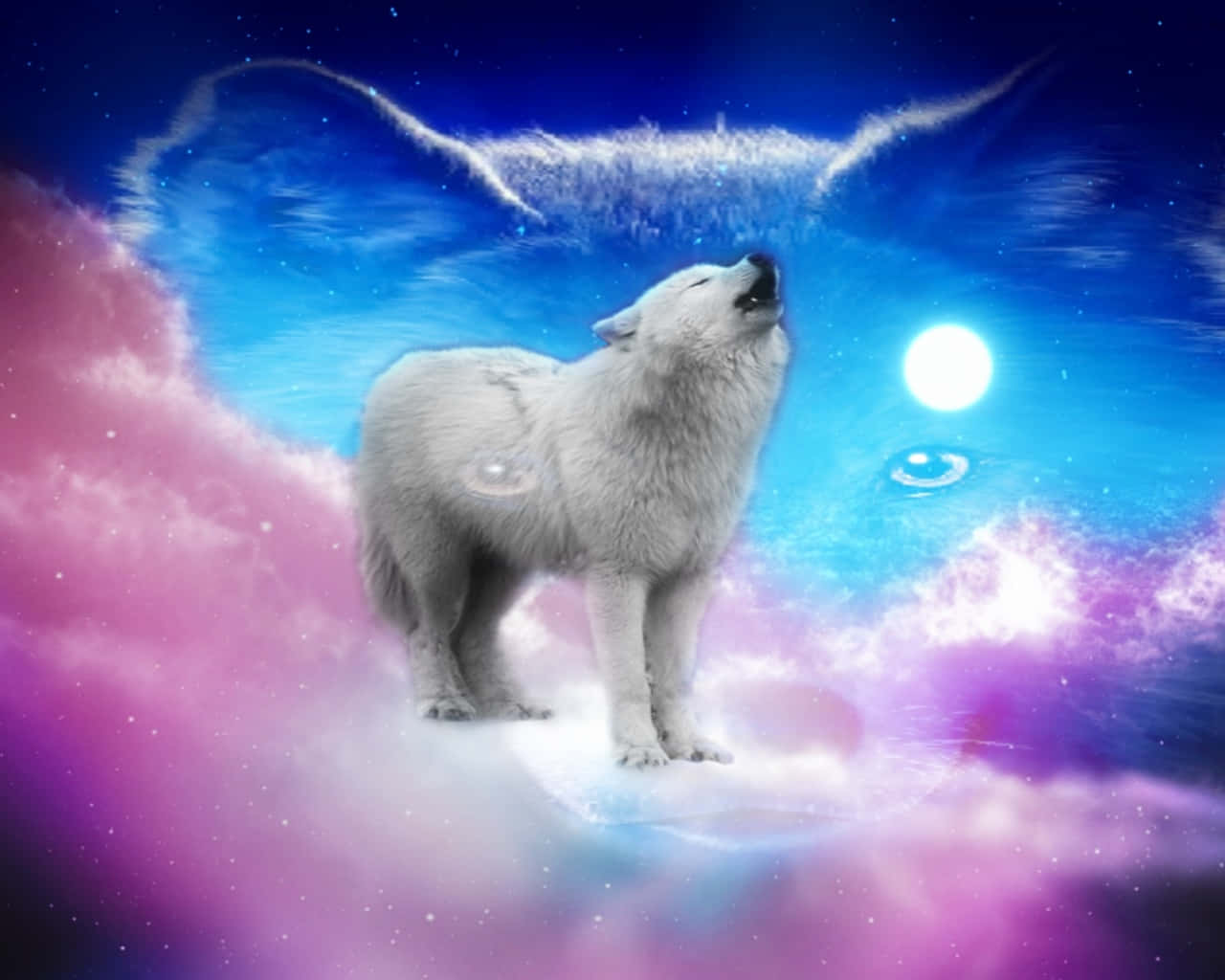 white wolf, cosmic sky, swirling pink purple and blue nebulae, HD Desktop Wallpaper