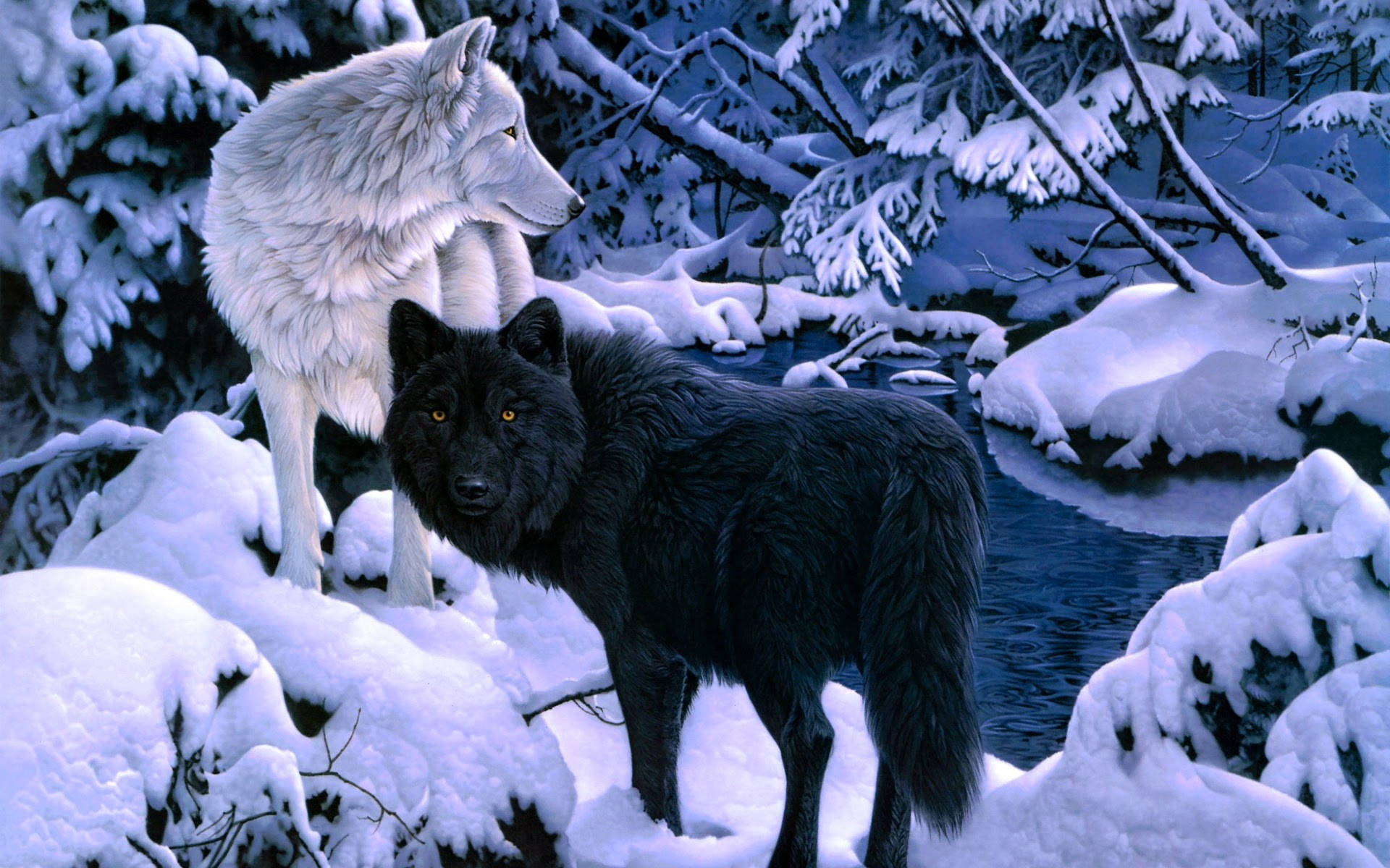 White Wolf, black wolf, snowy forest, Full HD Desktop Wallpaper
