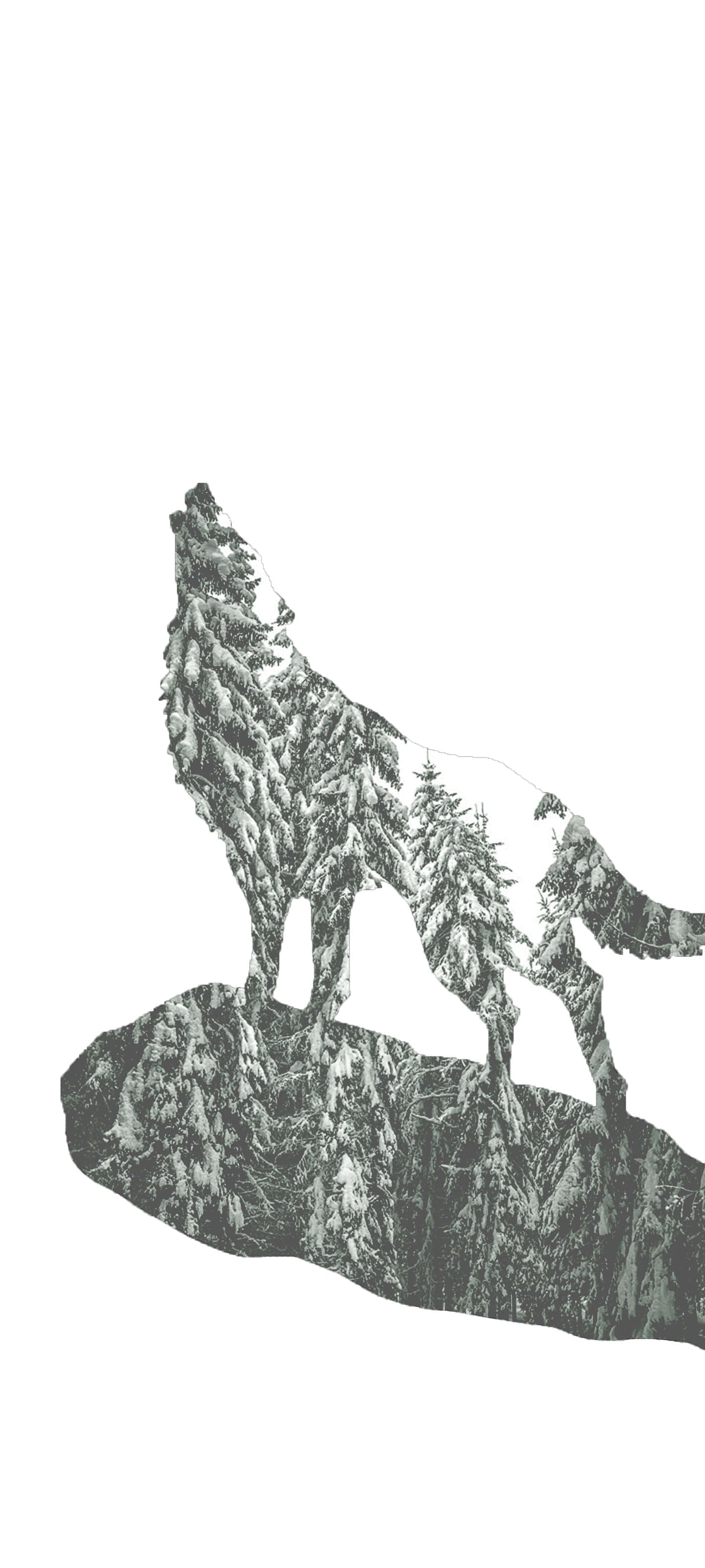 wolf, snowy peak, silhouette, 2K Phone Wallpaper