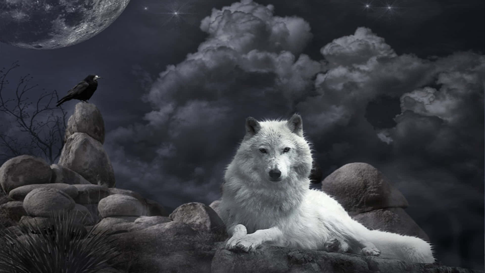 White Wolf, moonlit night, rocky terrain, Full HD Desktop Wallpaper