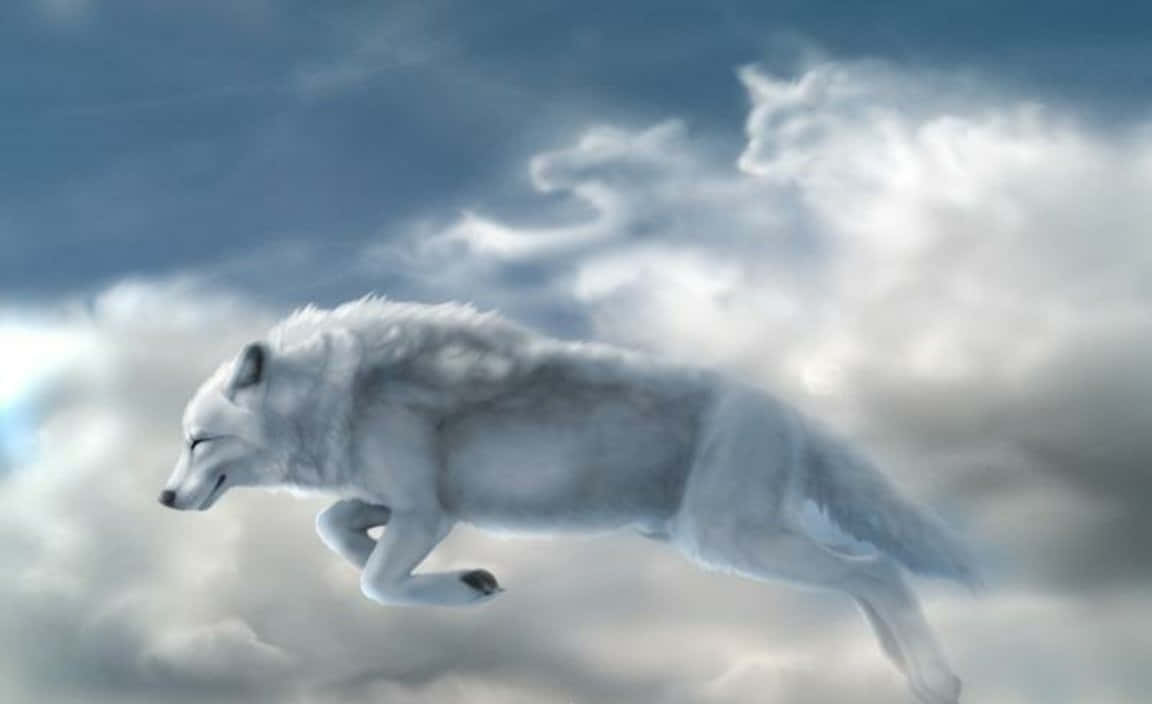 White Wolf, snowy forest, swirling clouds, SD Desktop Wallpaper