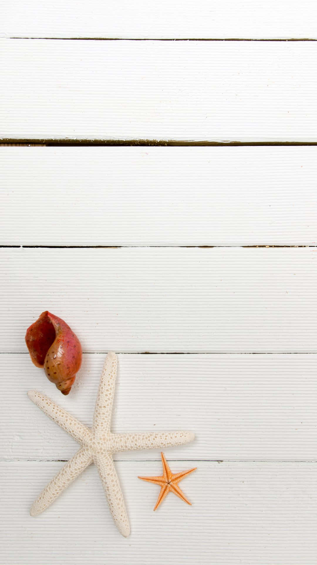 red shell, starfish, white weathered wooden planks, Full HD Phone Wallpaper