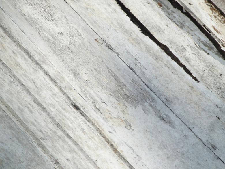 wood plain white painted, white wooden planks, deep cracks, SD Desktop Wallpaper
