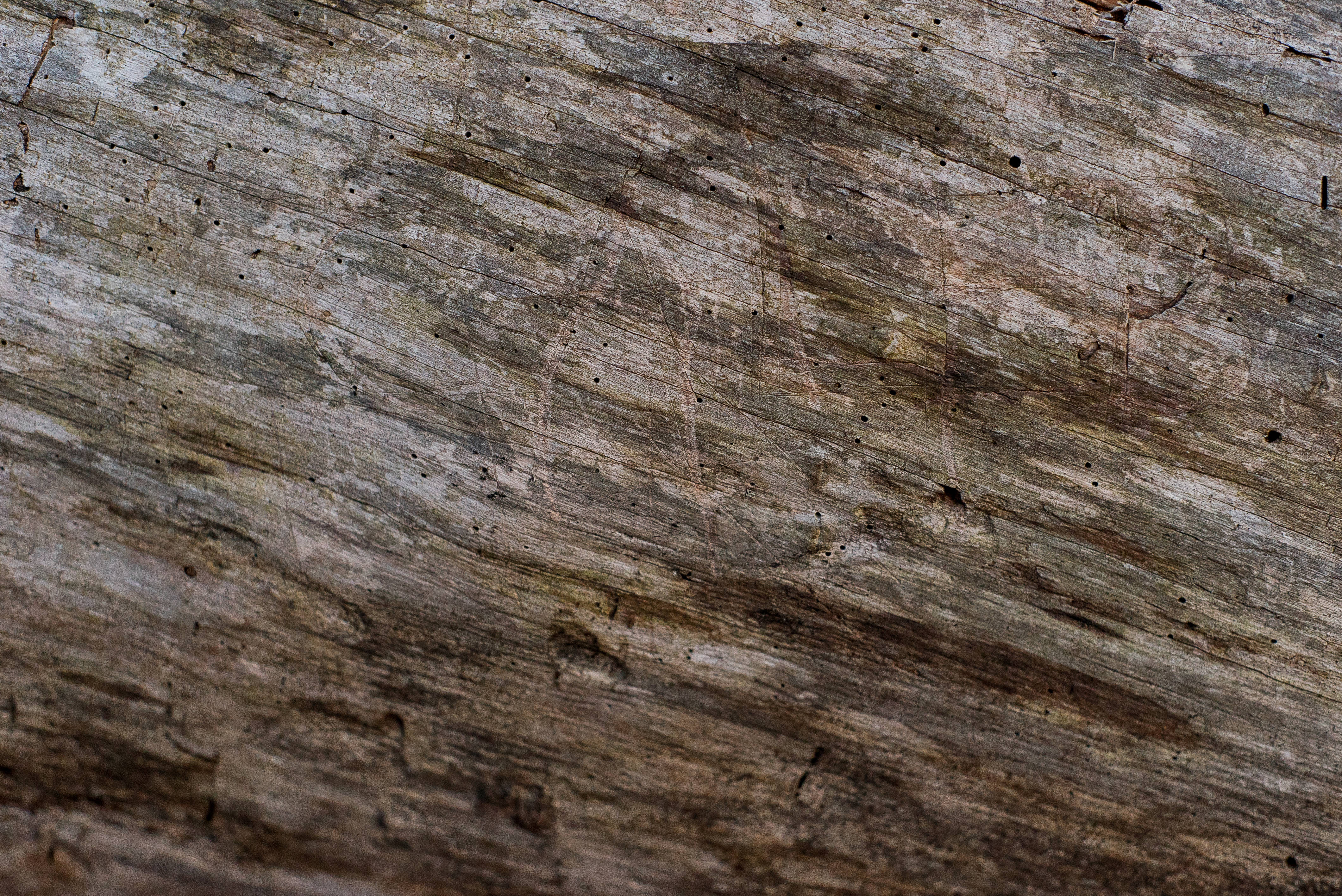 battered hd wood, weathered wooden surface, rich grain patterns, 4K Desktop Wallpaper