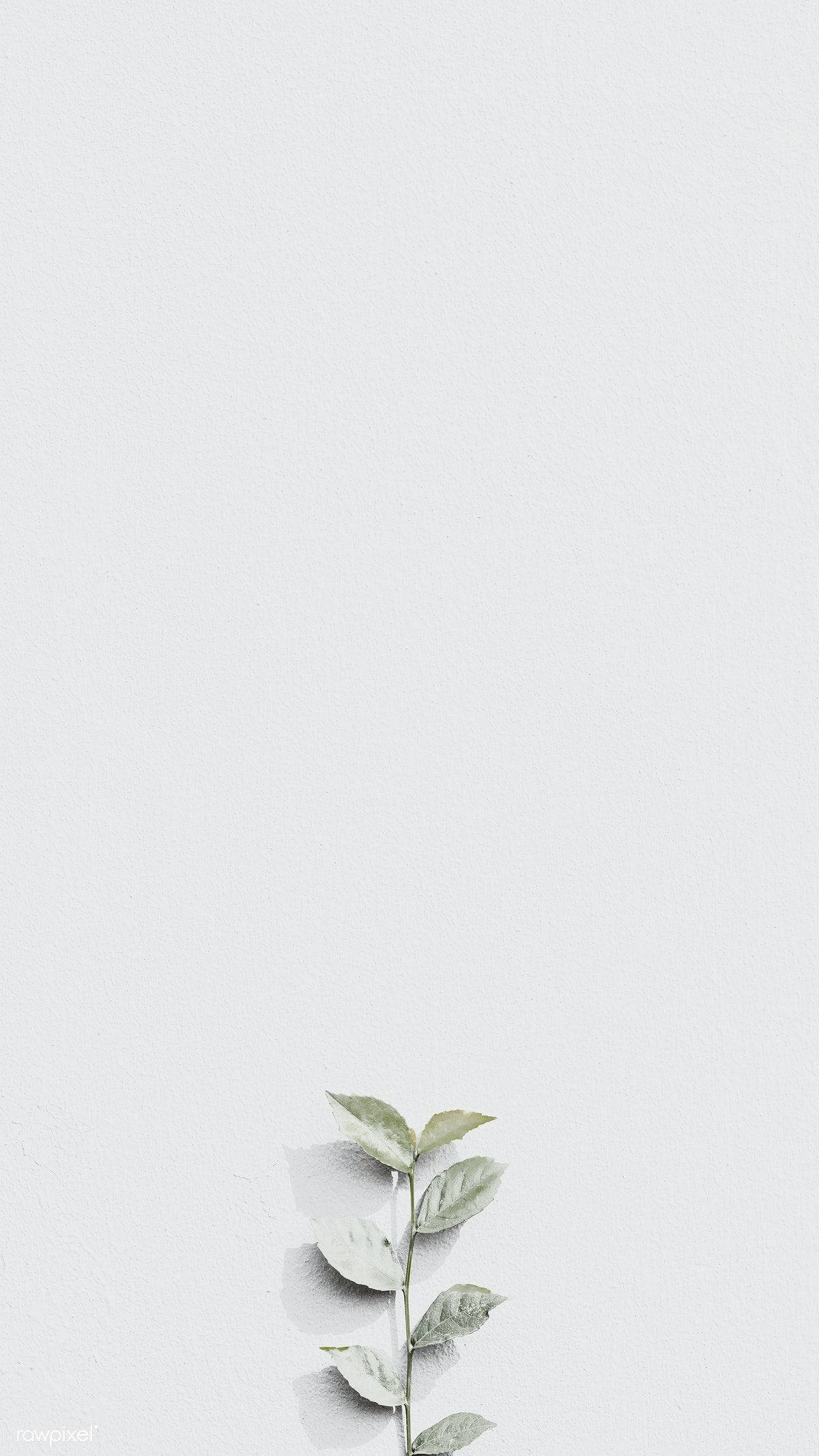white textured wall, delicate green leafy branch, minimalist wall, Full HD Phone Wallpaper