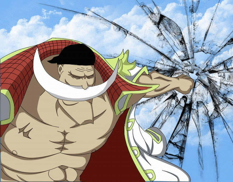 Whitebeard, anime character, white beard, SD Desktop Wallpaper
