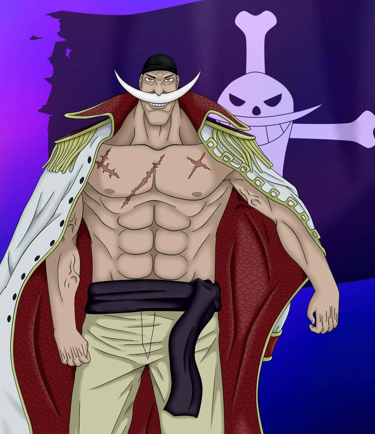 Whitebeard, skull flag, red cape, HD Phone Wallpaper