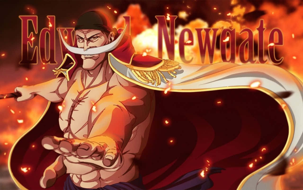 Whitebeard, anime pirate, long white mustache, HD Desktop Wallpaper