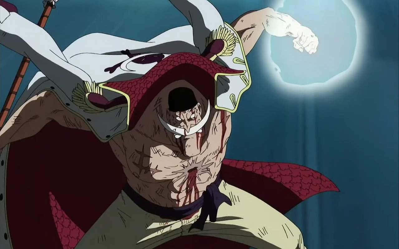 Whitebeard, red hat, white coat, HD Desktop Wallpaper