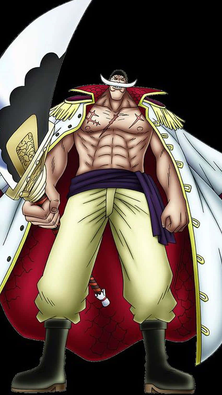 Whitebeard, anime pirate, white mustache, HD Phone Wallpaper