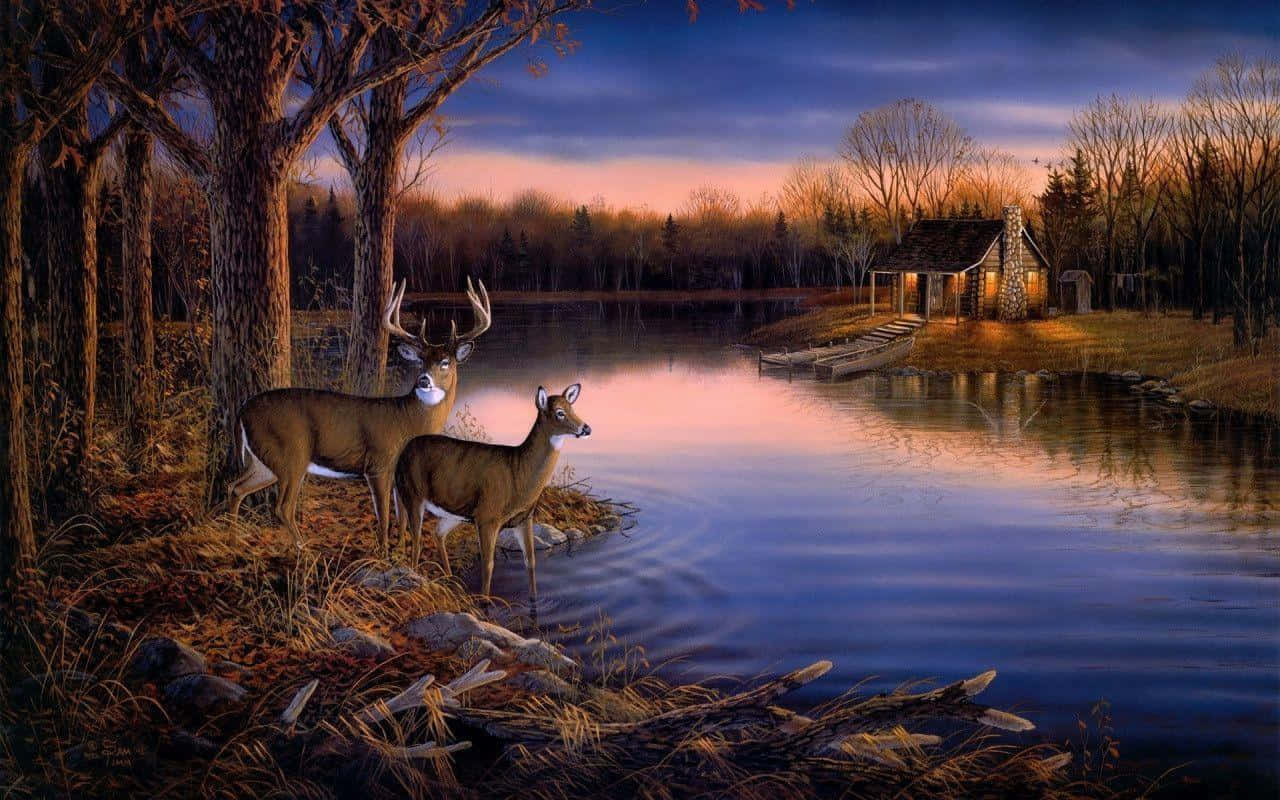 Whitetail Deer, lake, dusk, HD Desktop Wallpaper
