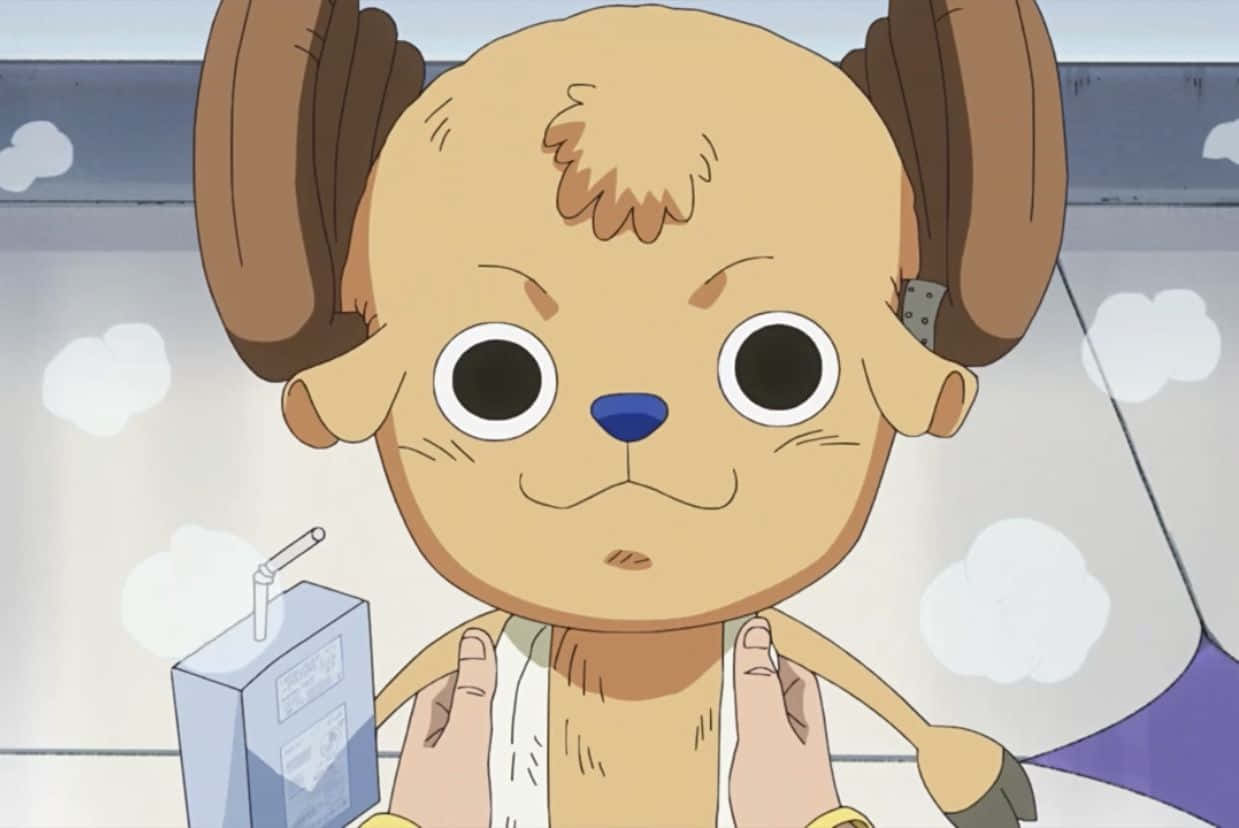 Whole Cake Island, anime dog, large eyes, SD Desktop Wallpaper