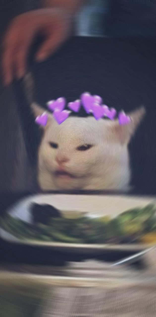 white cat, purple heart crown, plate of food, HD Phone Wallpaper