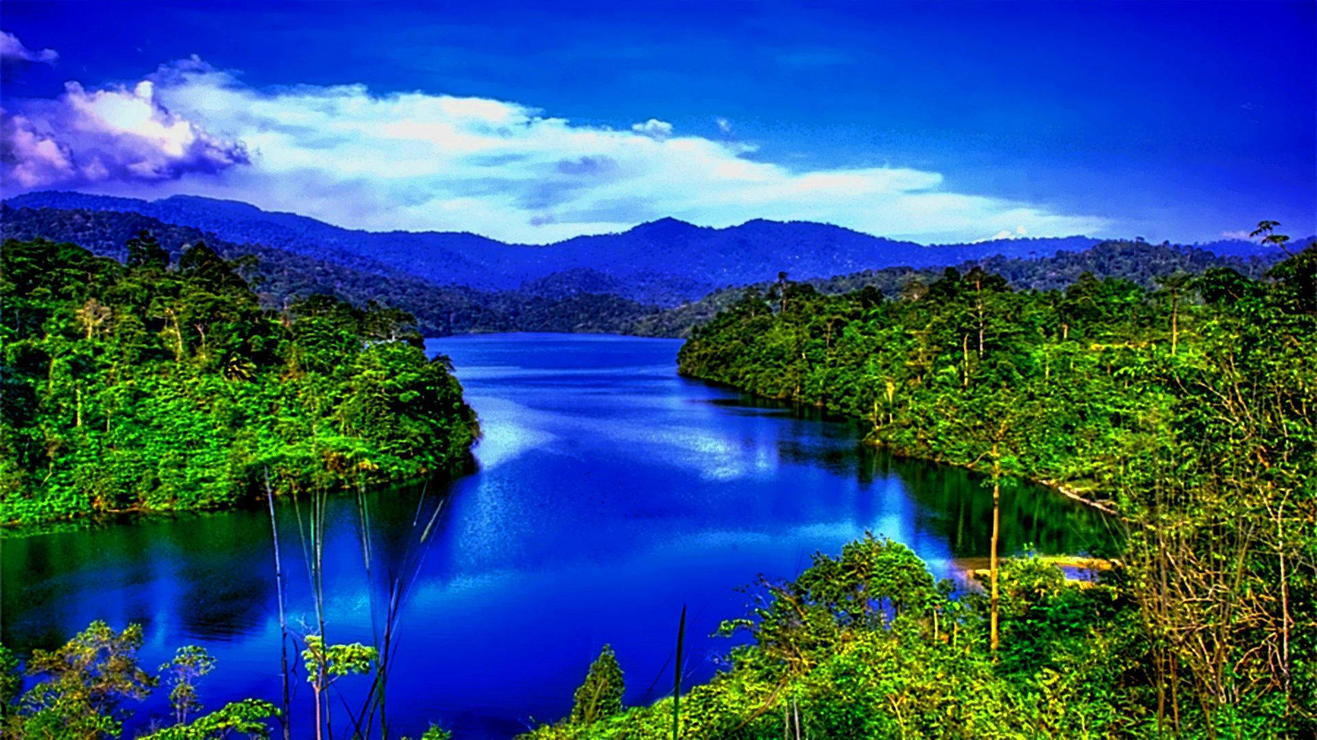 widescreen, nature, rainforest, Full HD Desktop Wallpaper