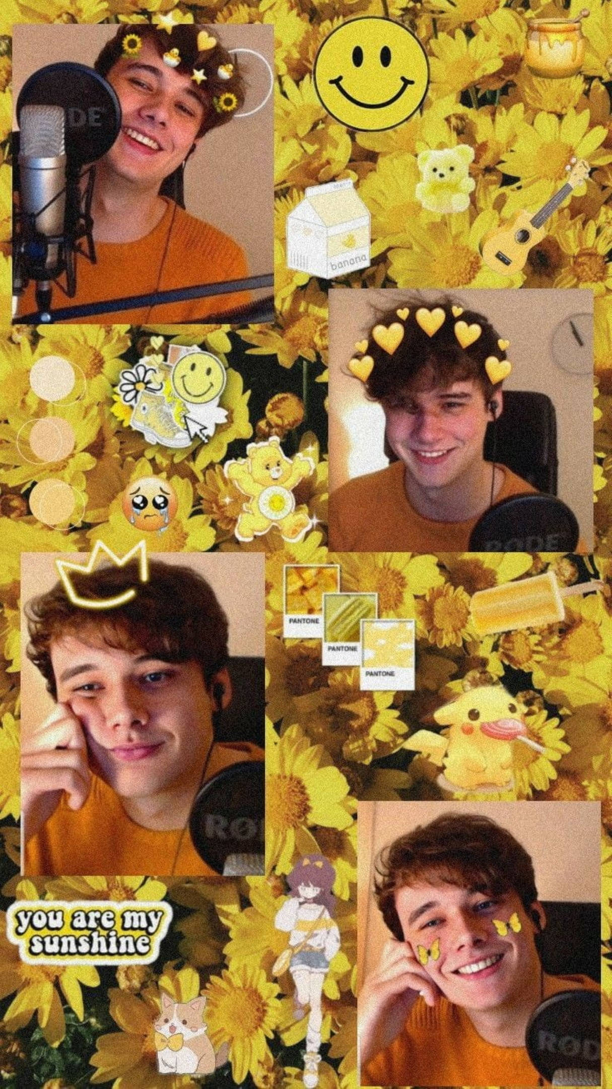 Wilbur Soot, yellow aesthetic, sunflower motifs, Full HD Phone Wallpaper