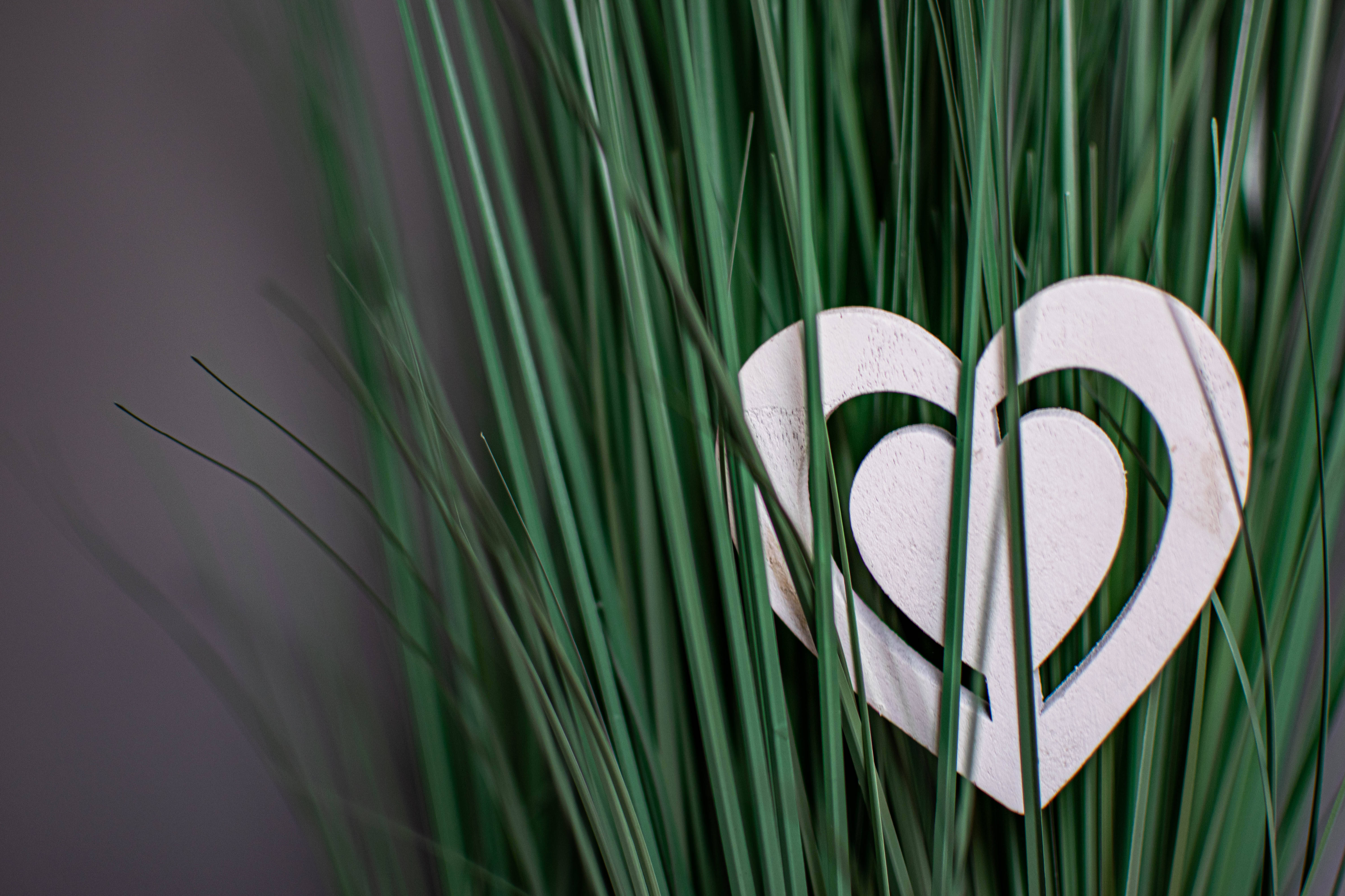 white double heart cutout, vibrant green grass blades, soft gray background, 5K Desktop Wallpaper