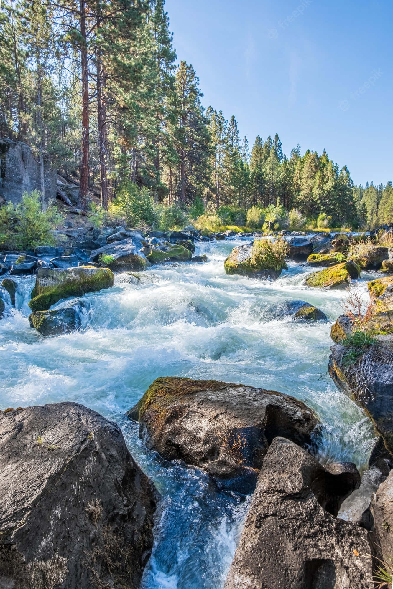 rocky river, turquoise river, mossy rocks, Full HD Phone Wallpaper