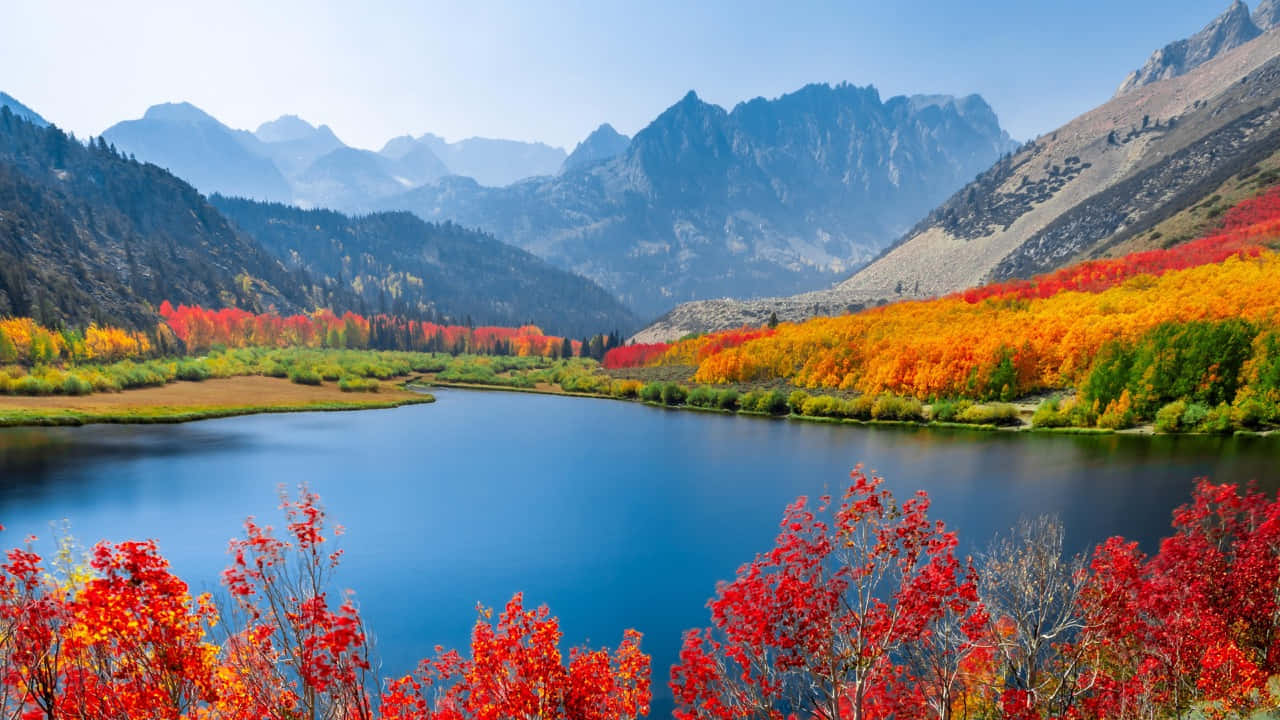 mountain lake, vibrant red orange and yellow autumn trees, clear blue sky, HD Desktop Wallpaper