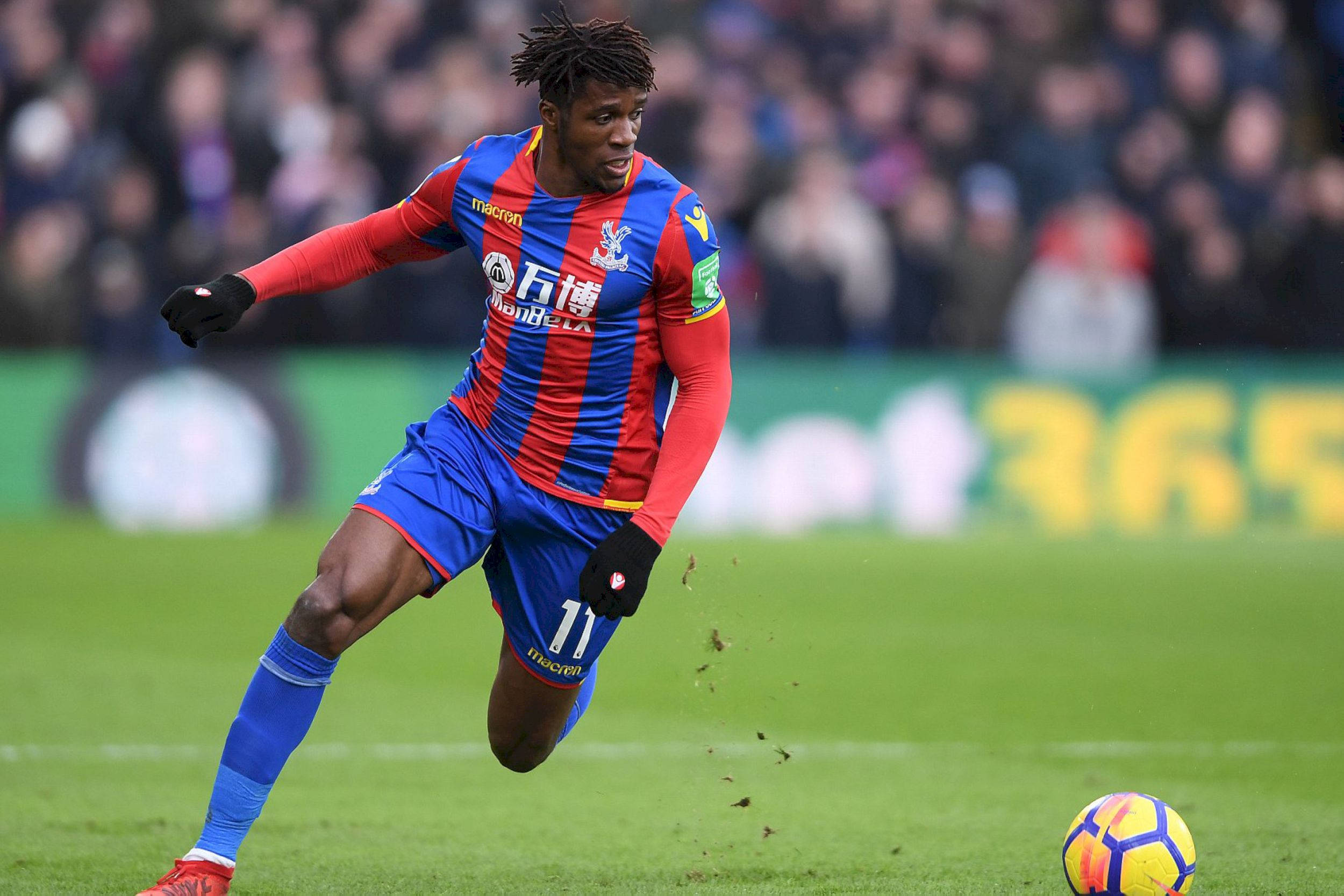 Wilfried Zaha, blue and red striped kit, colorful ball, Full HD Desktop Wallpaper