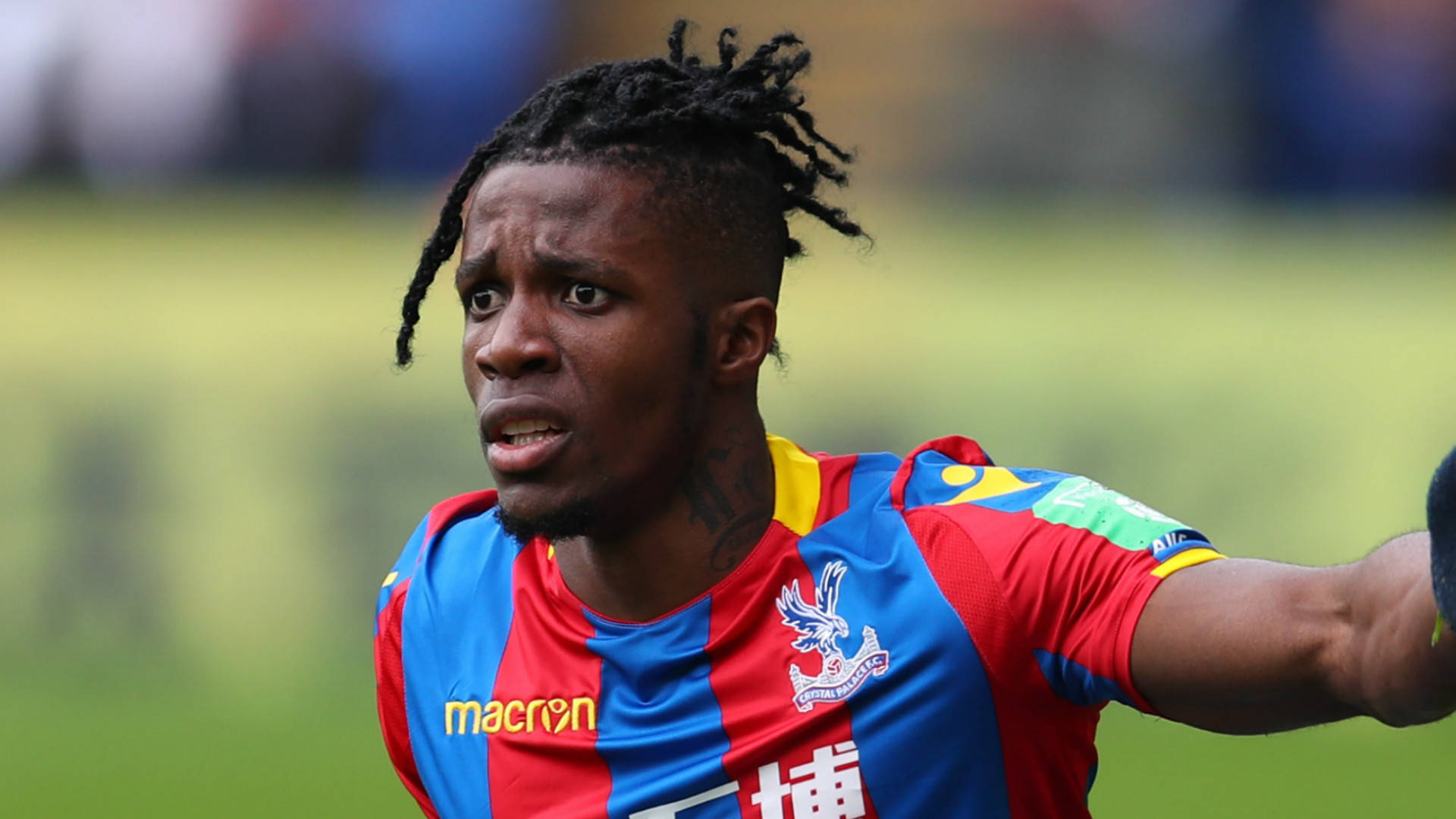 Wilfried Zaha, dreadlocks, red and blue striped jersey, Full HD Desktop Wallpaper