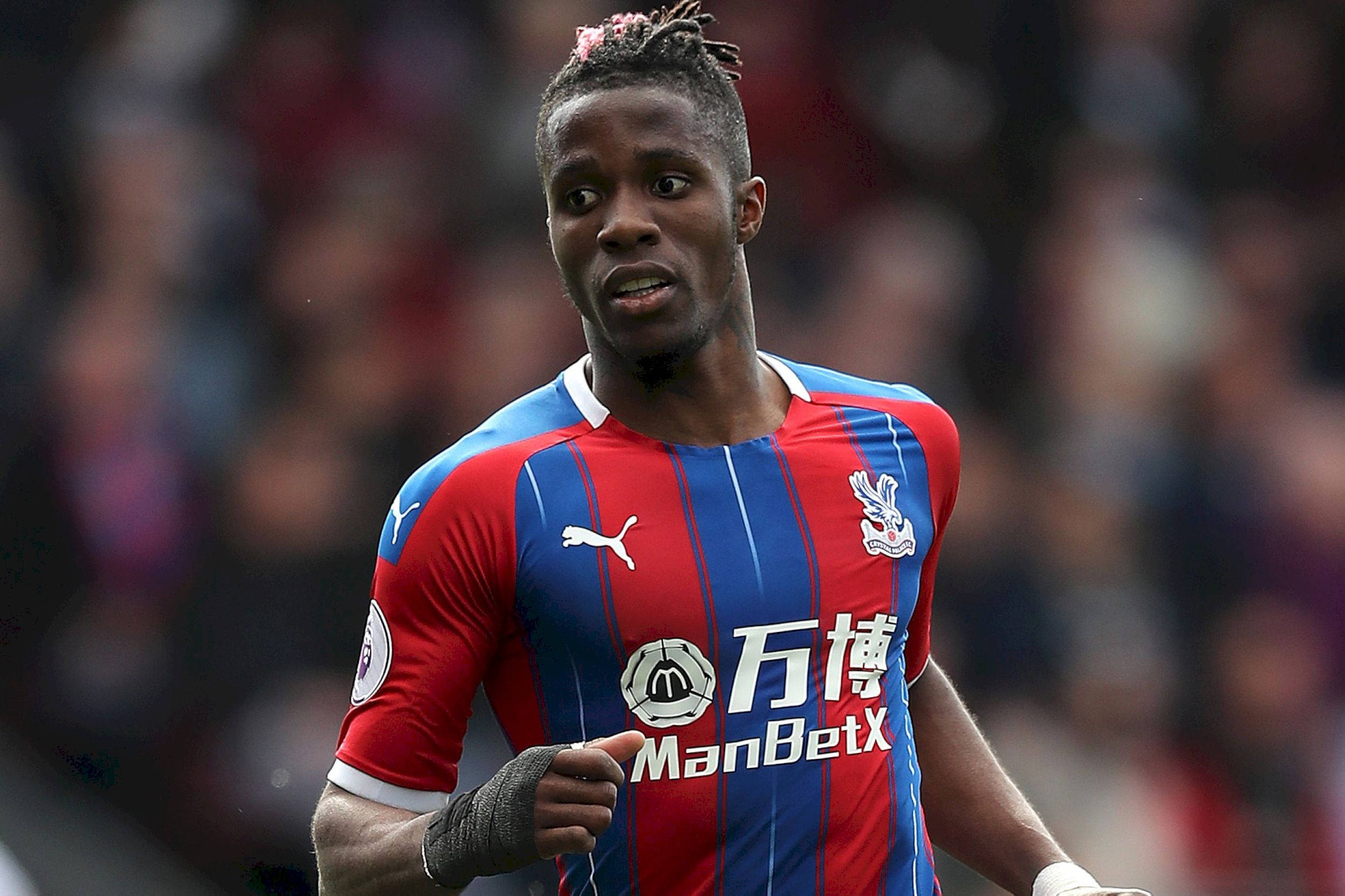 Wilfried Zaha, red and blue striped jersey, stadium field, Full HD Desktop Wallpaper