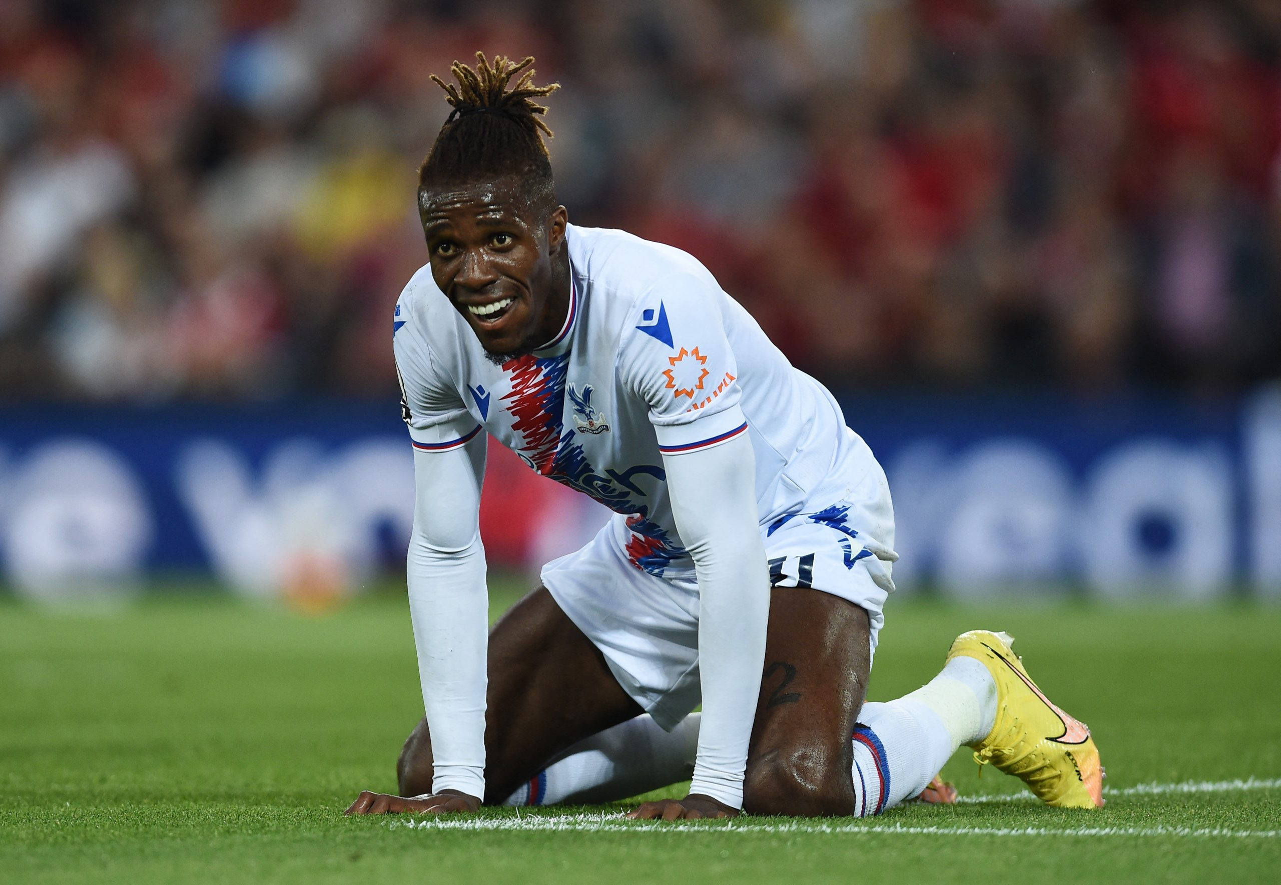 Wilfried Zaha, grassy field, nighttime match, 2K Desktop Wallpaper