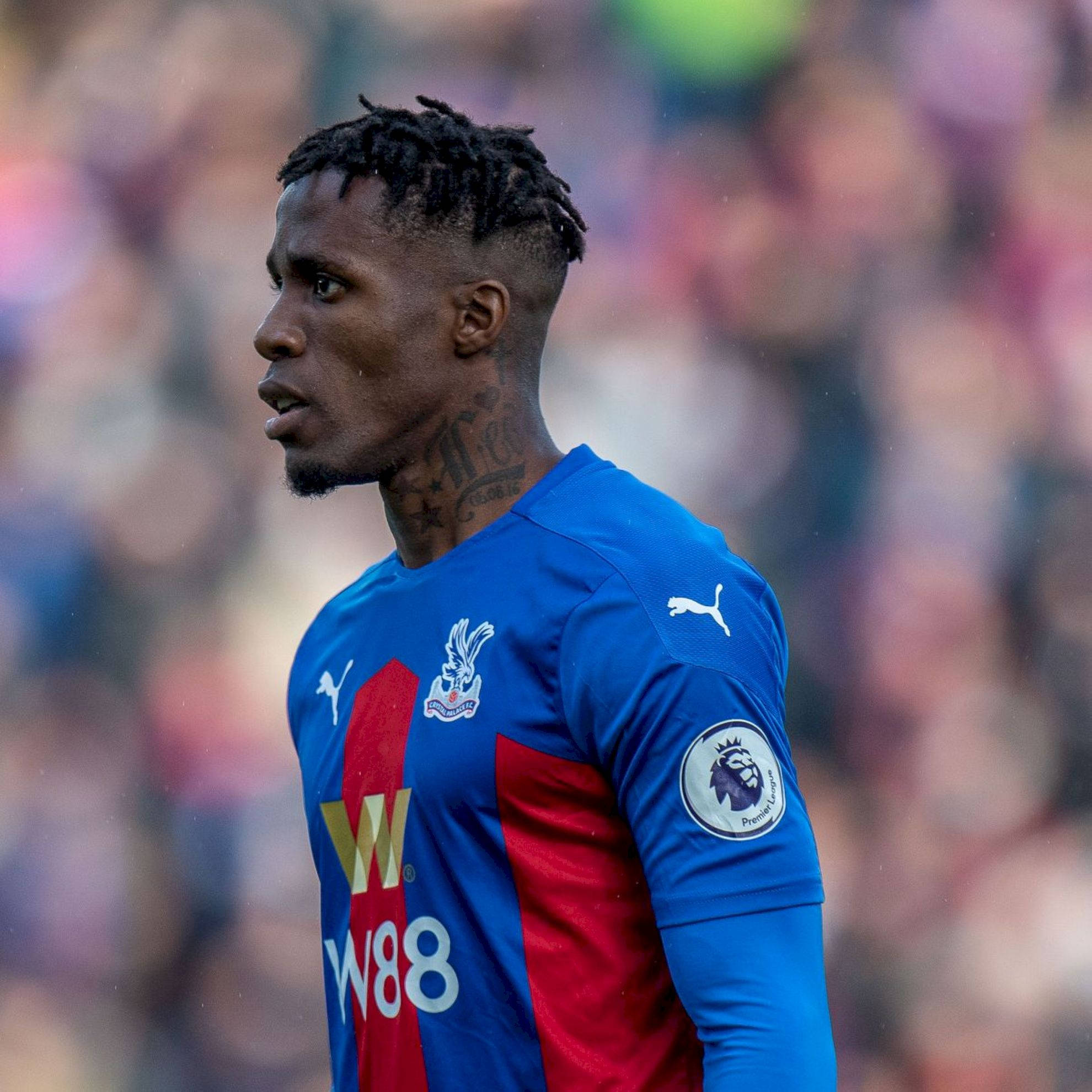 Wilfried Zaha, blue and red Crystal Palace jersey, sunlit field, Full HD Desktop Wallpaper